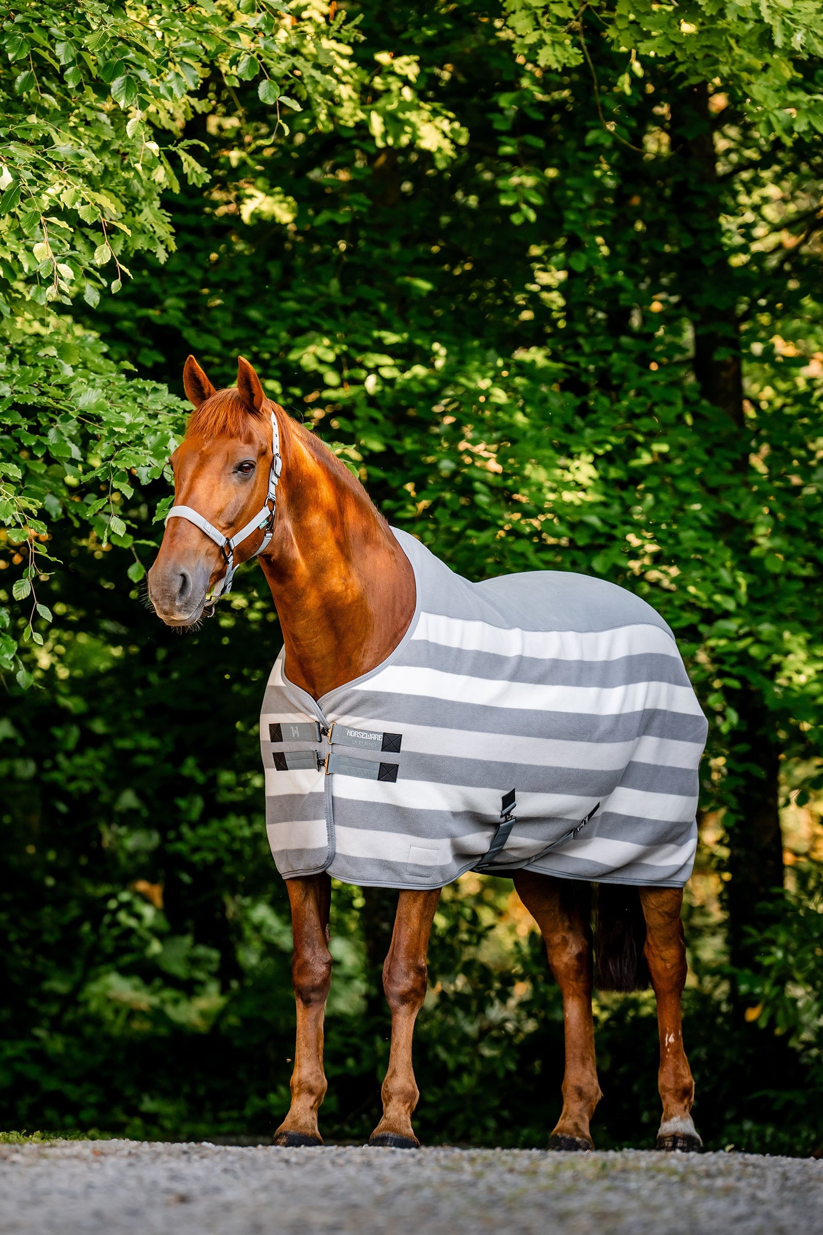 Horseware Newmarket Fleece Kuivatusloimet Loimet