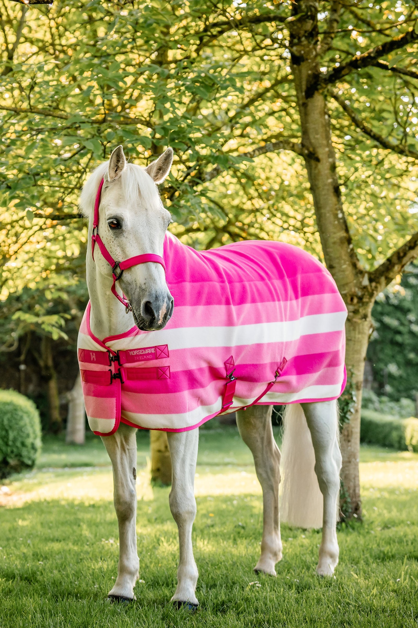 Horseware Newmarket Fleece Cooler Horse Rugs