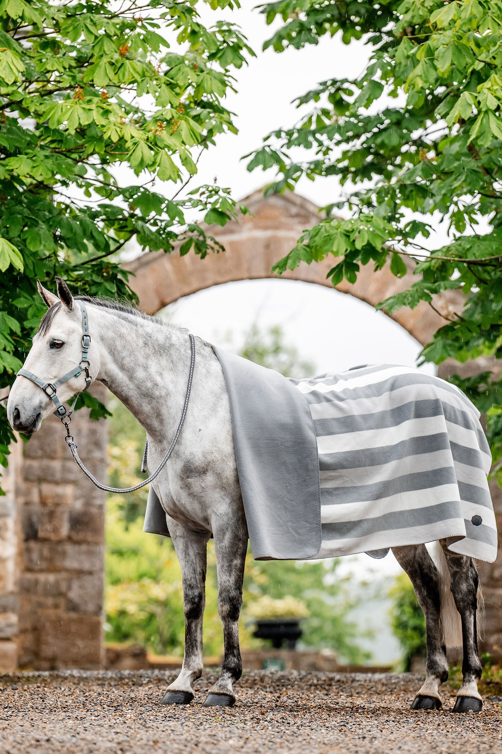 Horseware Newmarket Fleece Kuivatusloimet (Square) Loimet