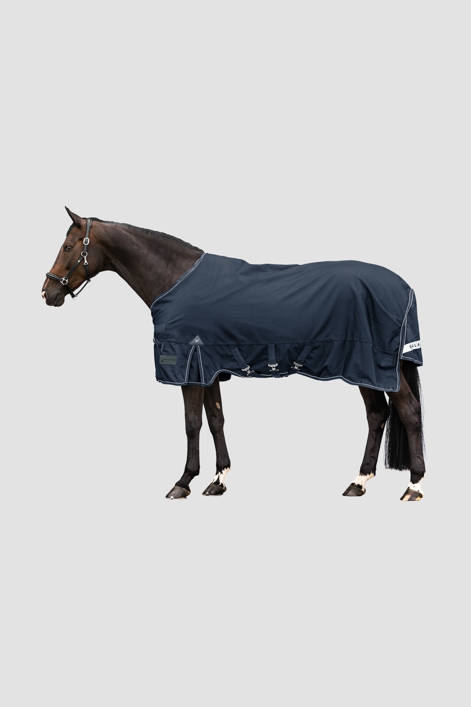 Waldhausen Outdoor Rug Scandic 50g Horse Rugs