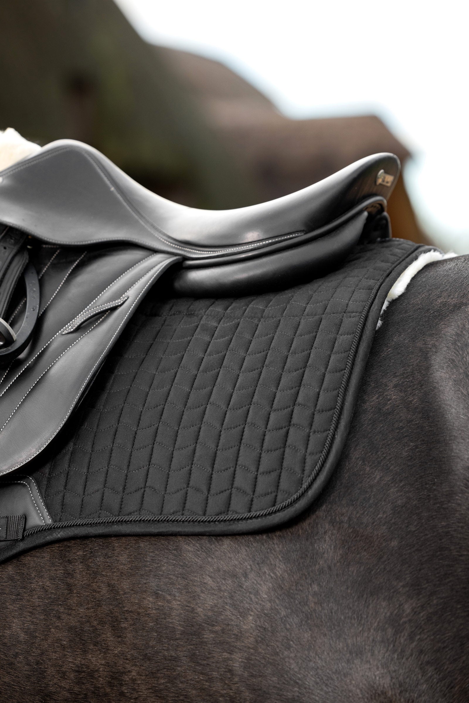 LeMieux Merino+ Suede Eurojump Saddle Pad Saddle Pads