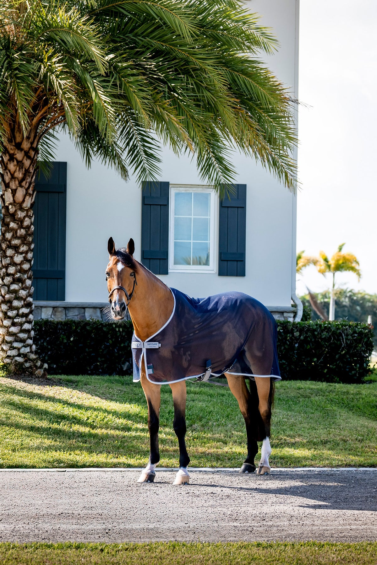 Horseware Amigo Net Cooler Horse Rugs