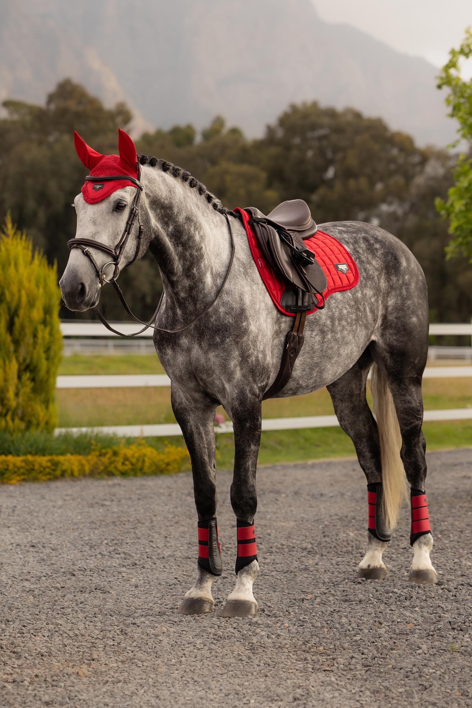 LeMieux Loire Classic GP Square Saddlepad Saddle Pads