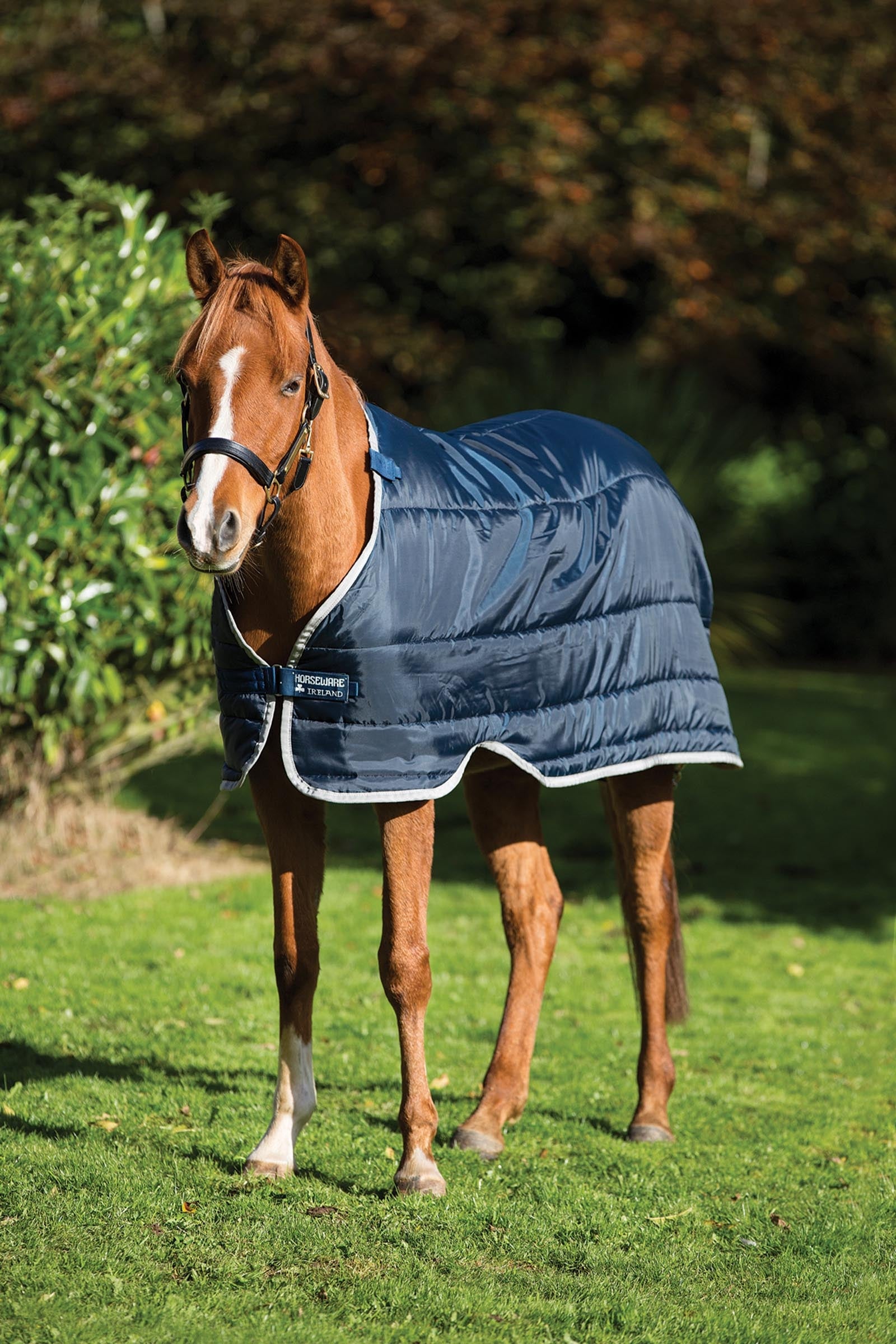 Horseware Pony Under Rug, 100g Horse Rugs