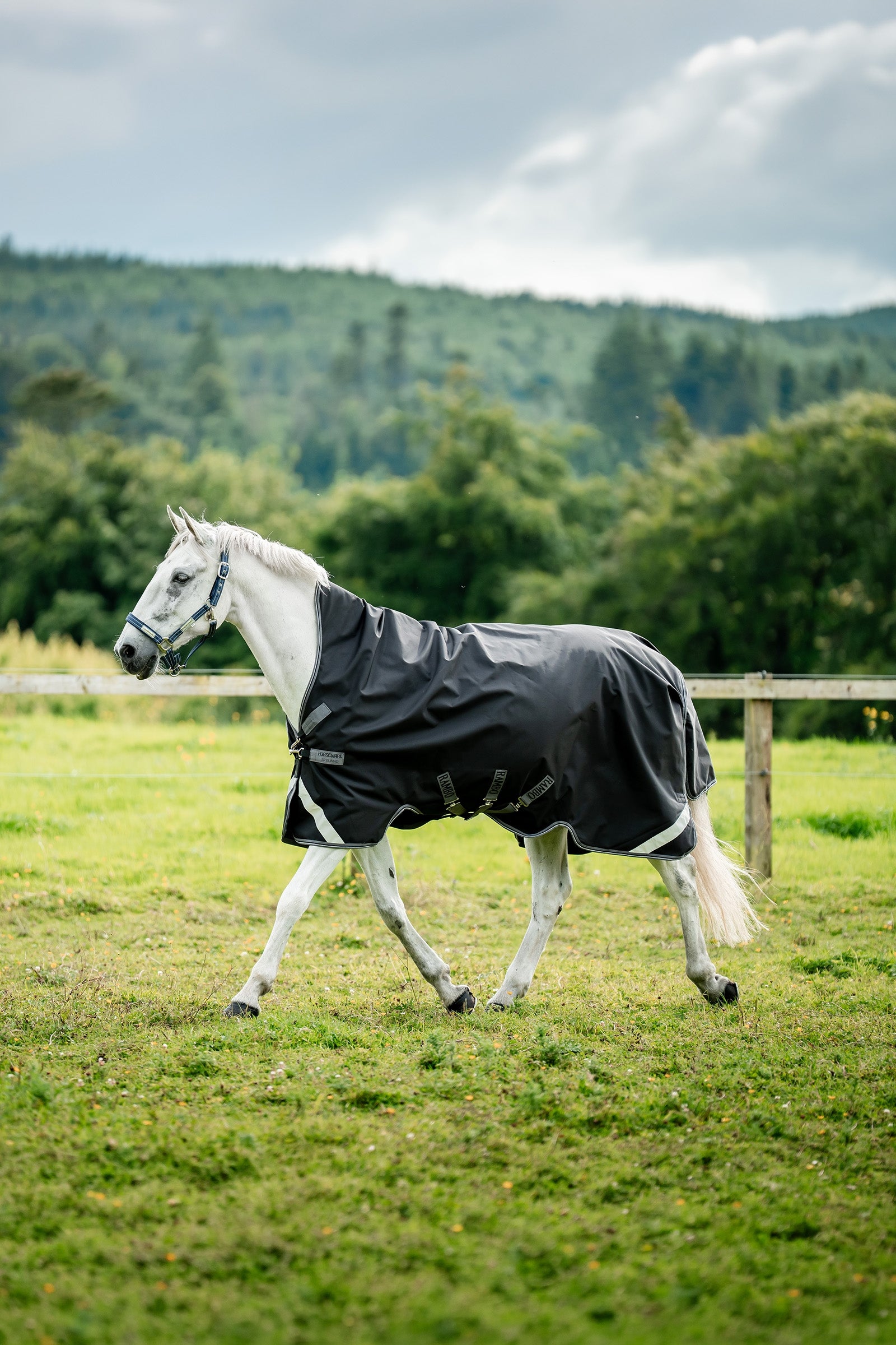 Horseware Rambo 1680D Wug Turnout 50 g Horse Rugs