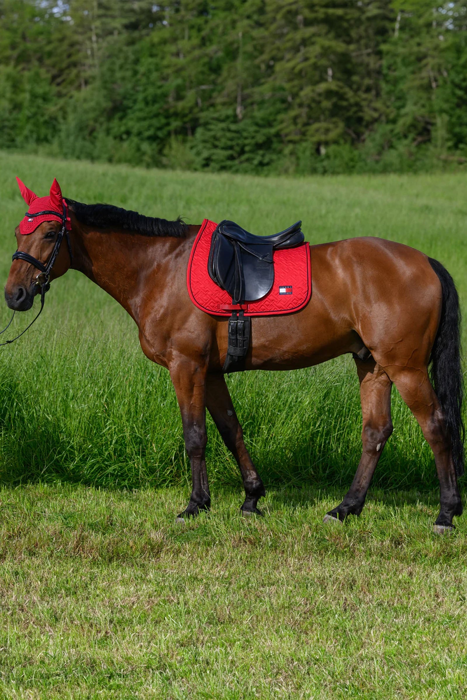 Tommy Hilfiger Equestrian Harvard Dressage Saddlepad Saddle Pads