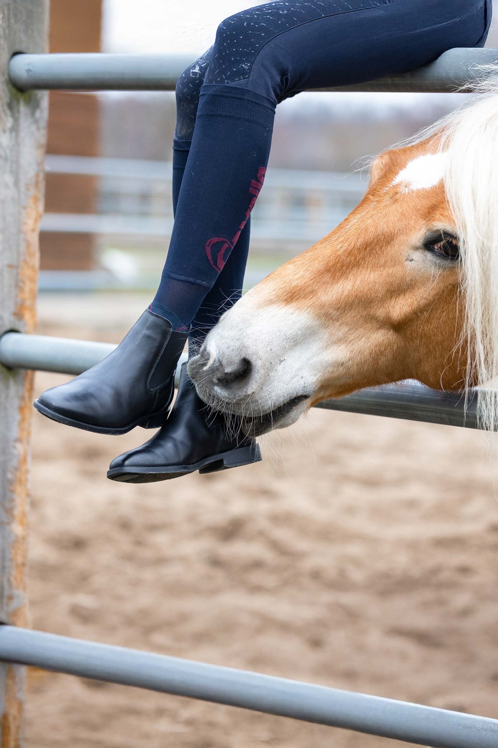 Cavallo CAVALCHELSEA Slim Jodhpur Boots Riding Boots & Riding Shoes