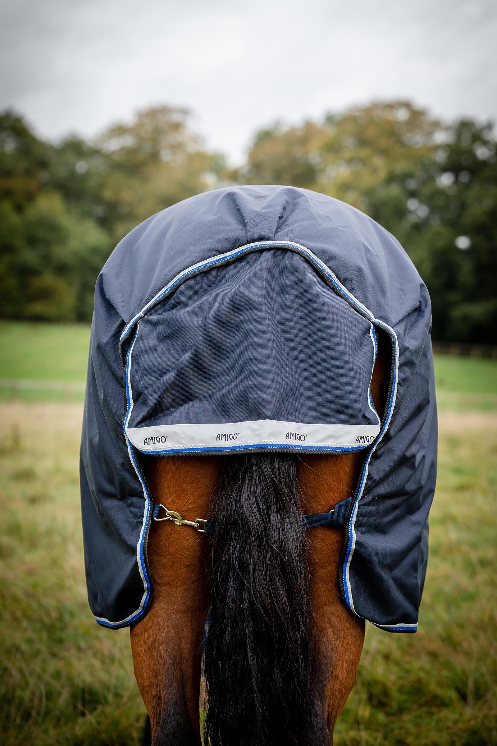 Horseware Amigo Bravo 12 Original Turnout Rug, 250g Horse Rugs