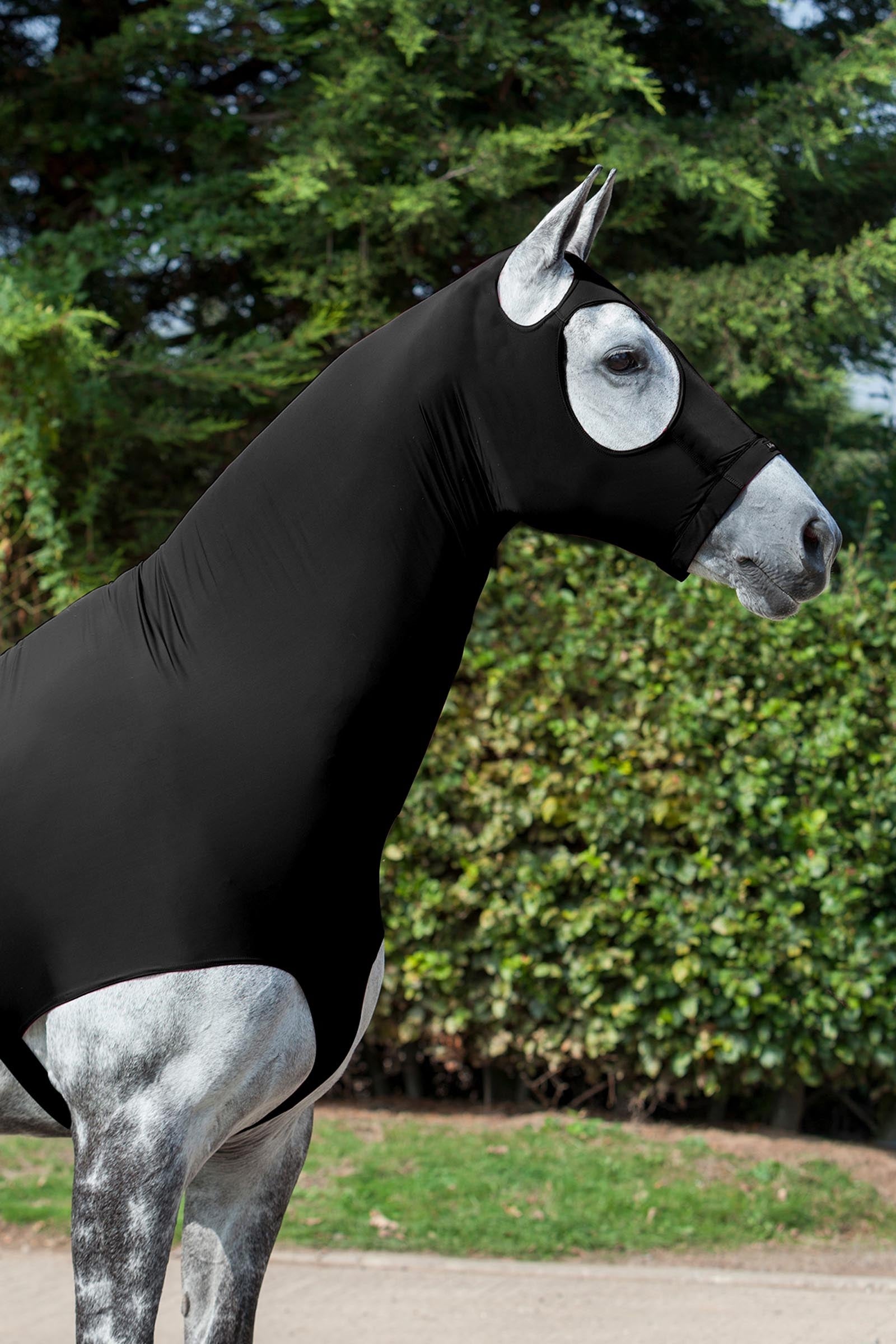 LeMieux Lycra Hoods Saddle Pads