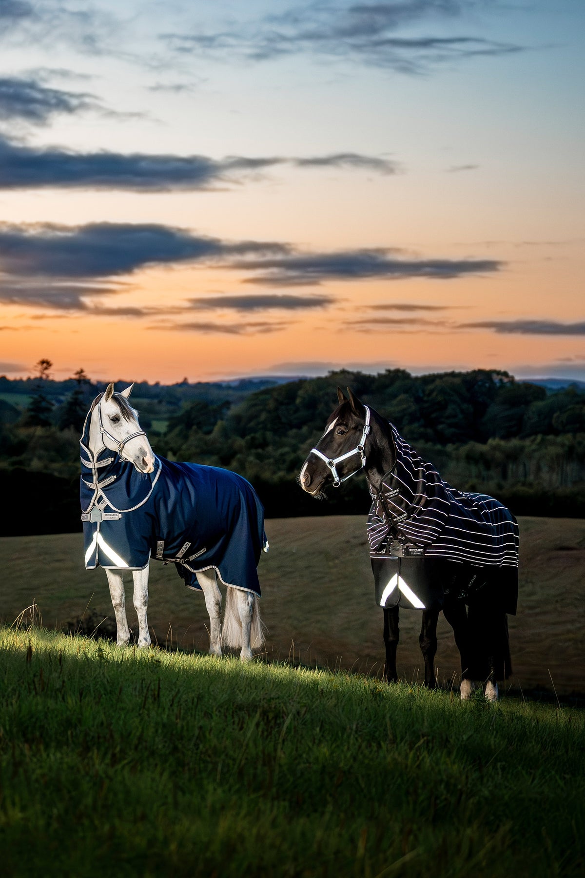Horseware Amigo 1200D FieldSafe Plus Turnout With Detachable Neck, 50 g Horse Rugs
