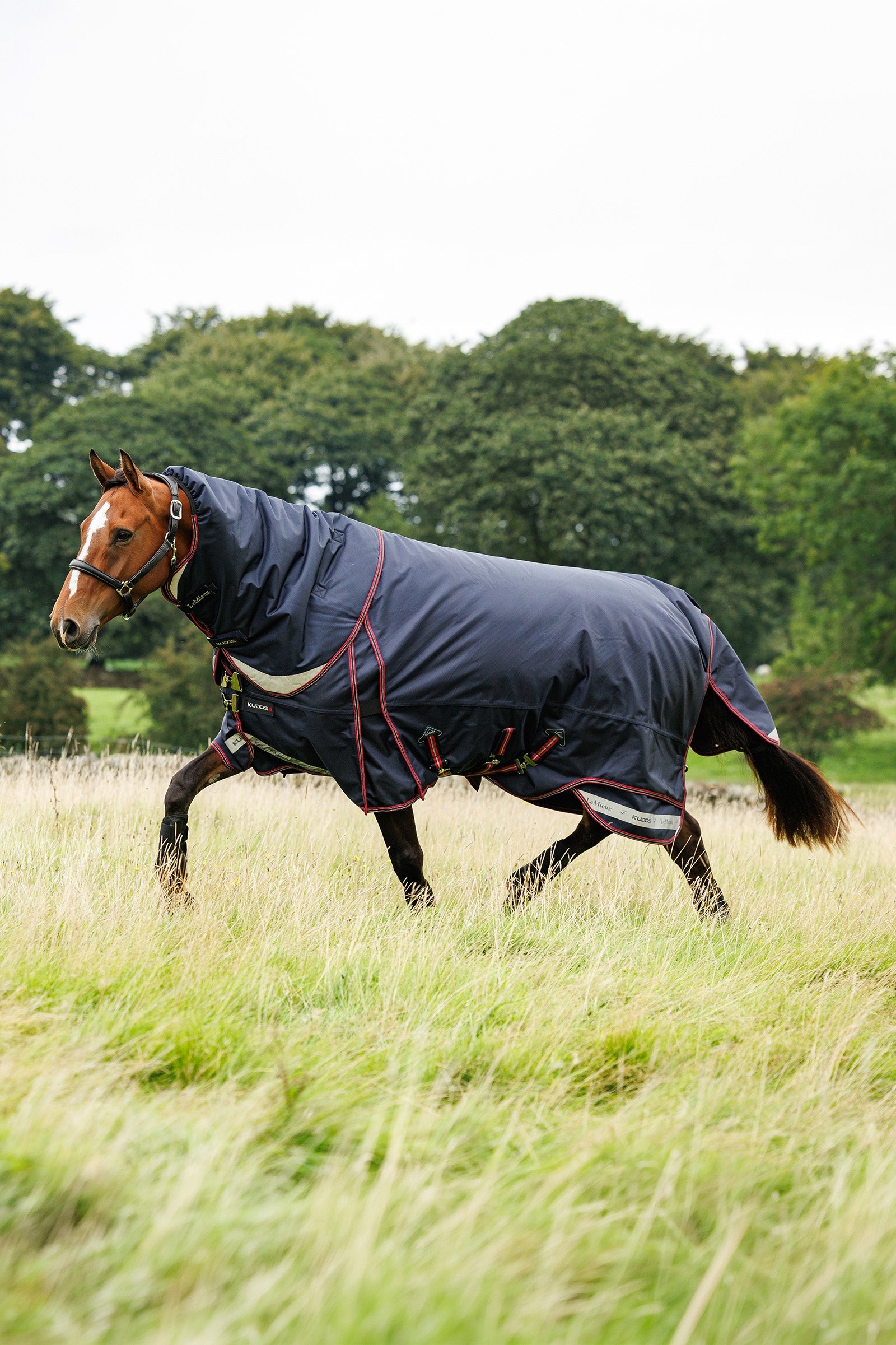 LeMieux Kudos Thermo Layer Turnout Rug, 300 g Horse Rugs