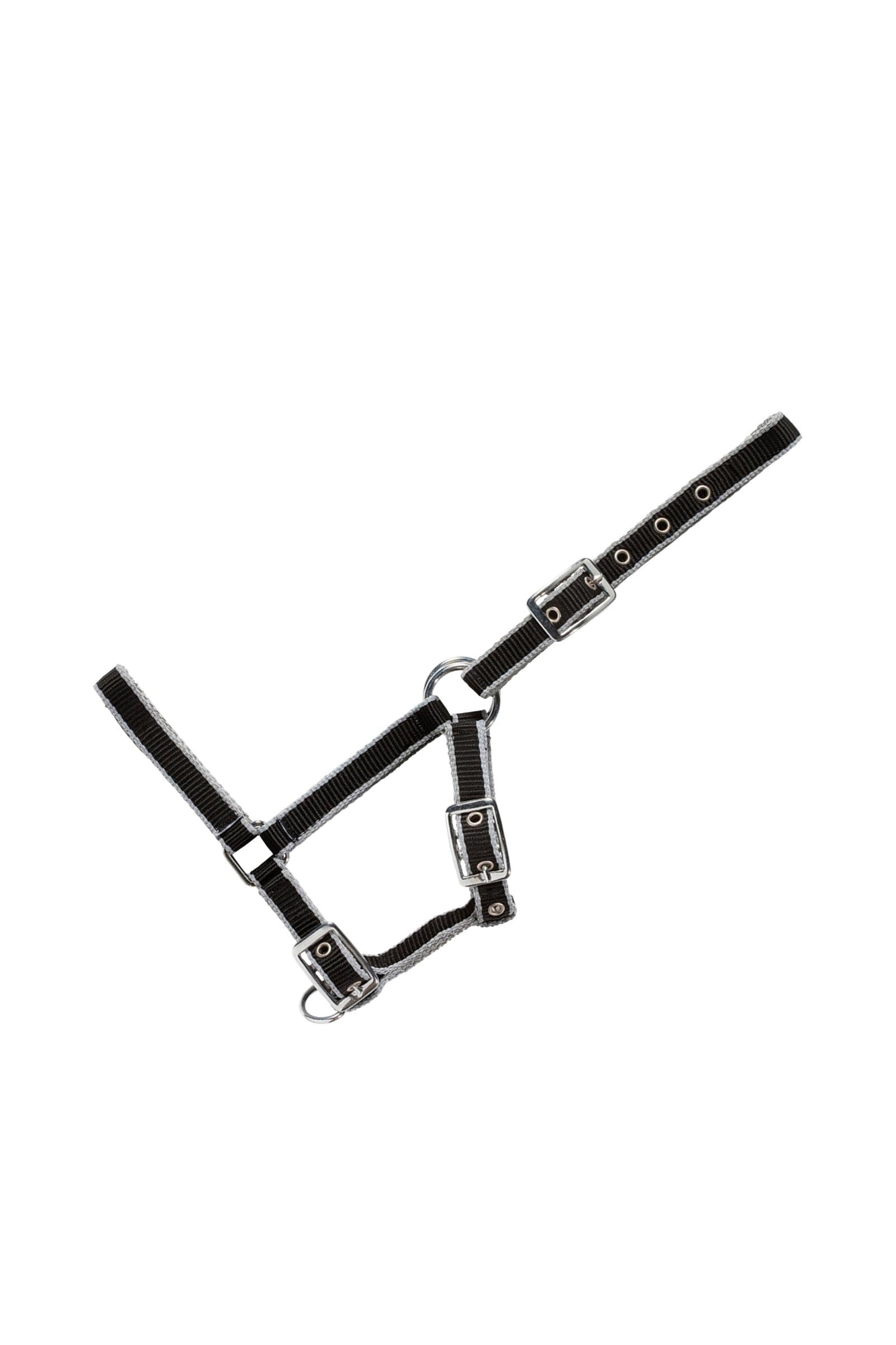 USG Adjustable Foal Halter Halters & Leads