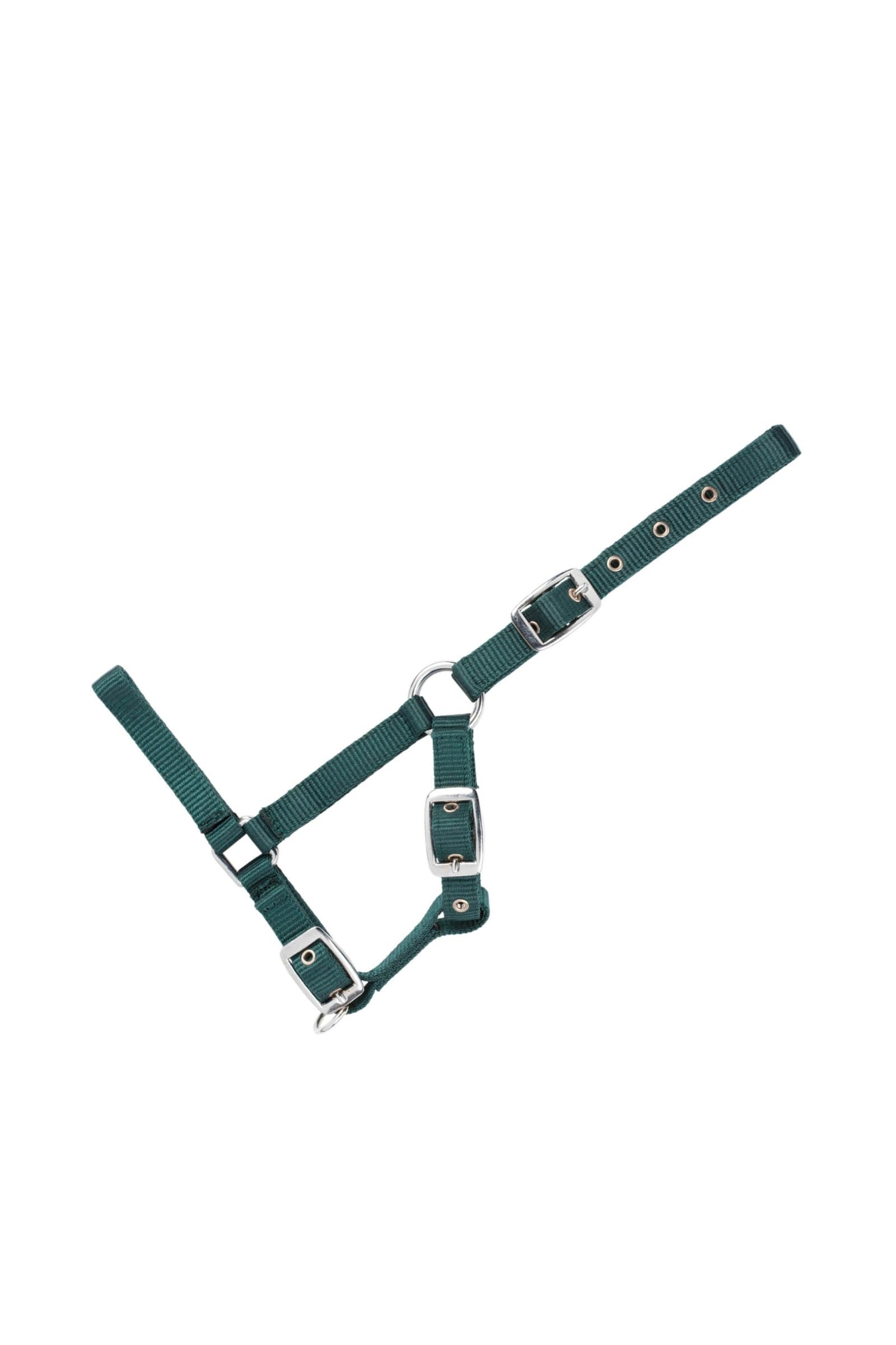USG Adjustable Foal Halter Riimut & riimunnarut