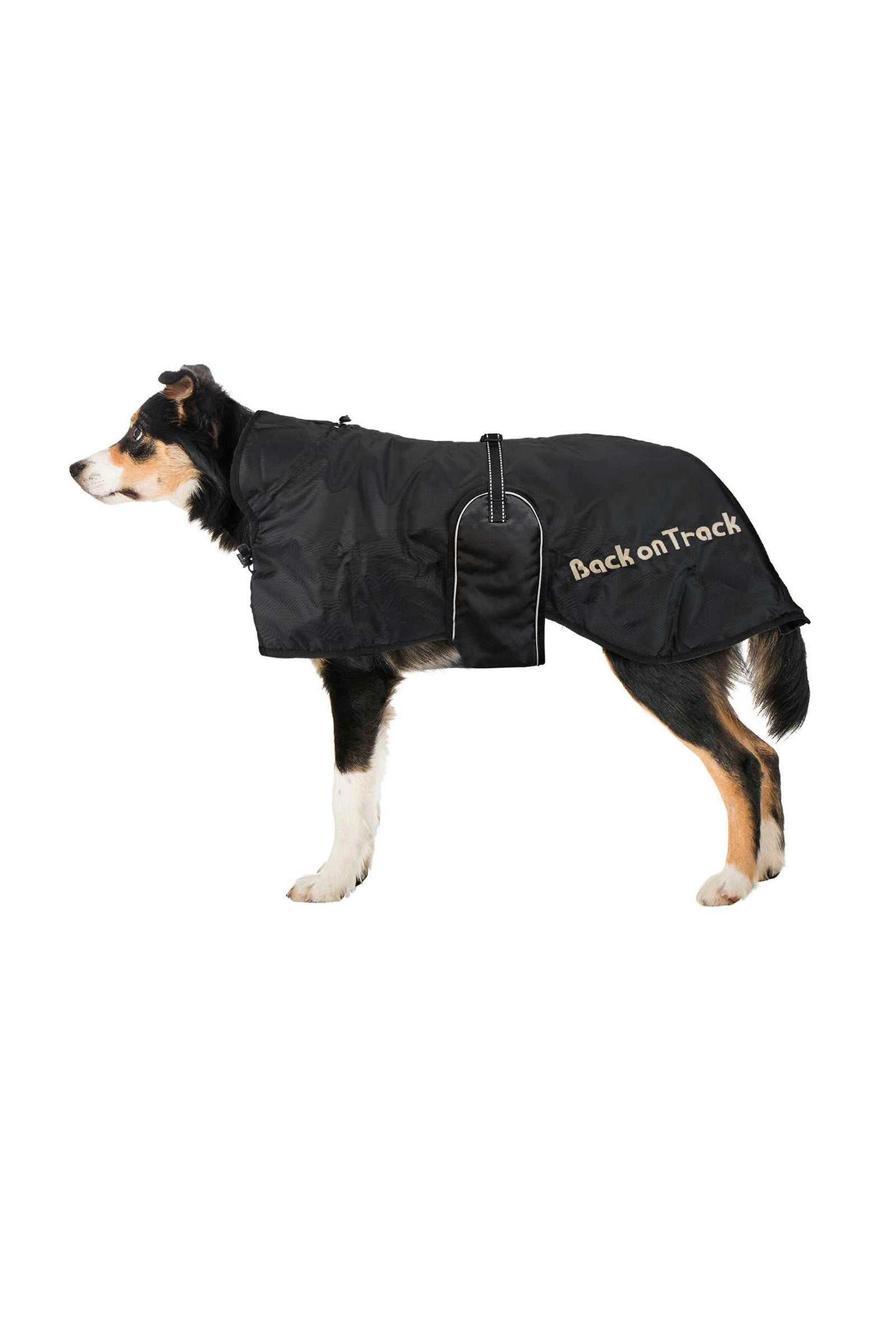 Back on Track Dog Rug 43-59 Dog Accesories