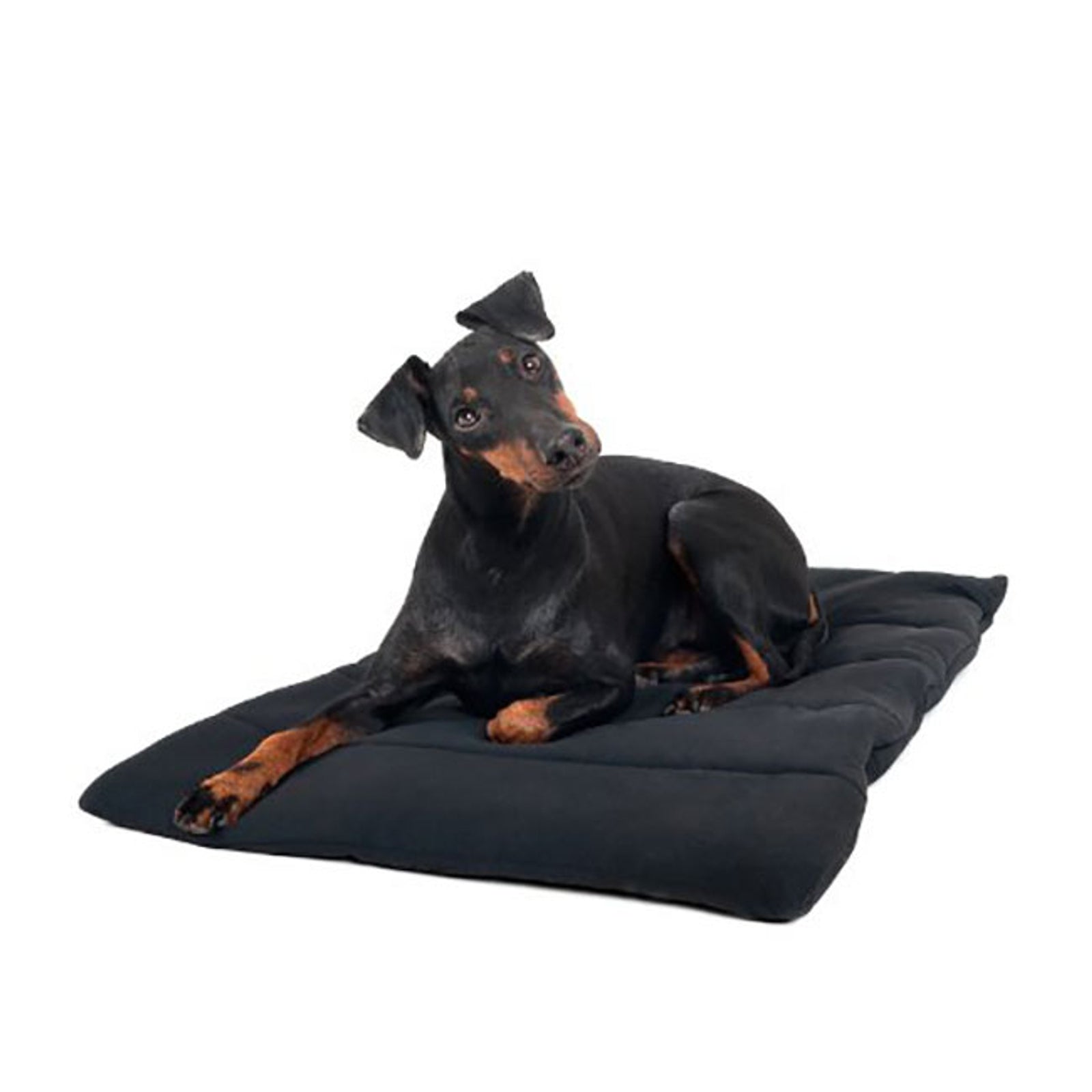 Back on Track koiran viltti Koiratarvikkeet