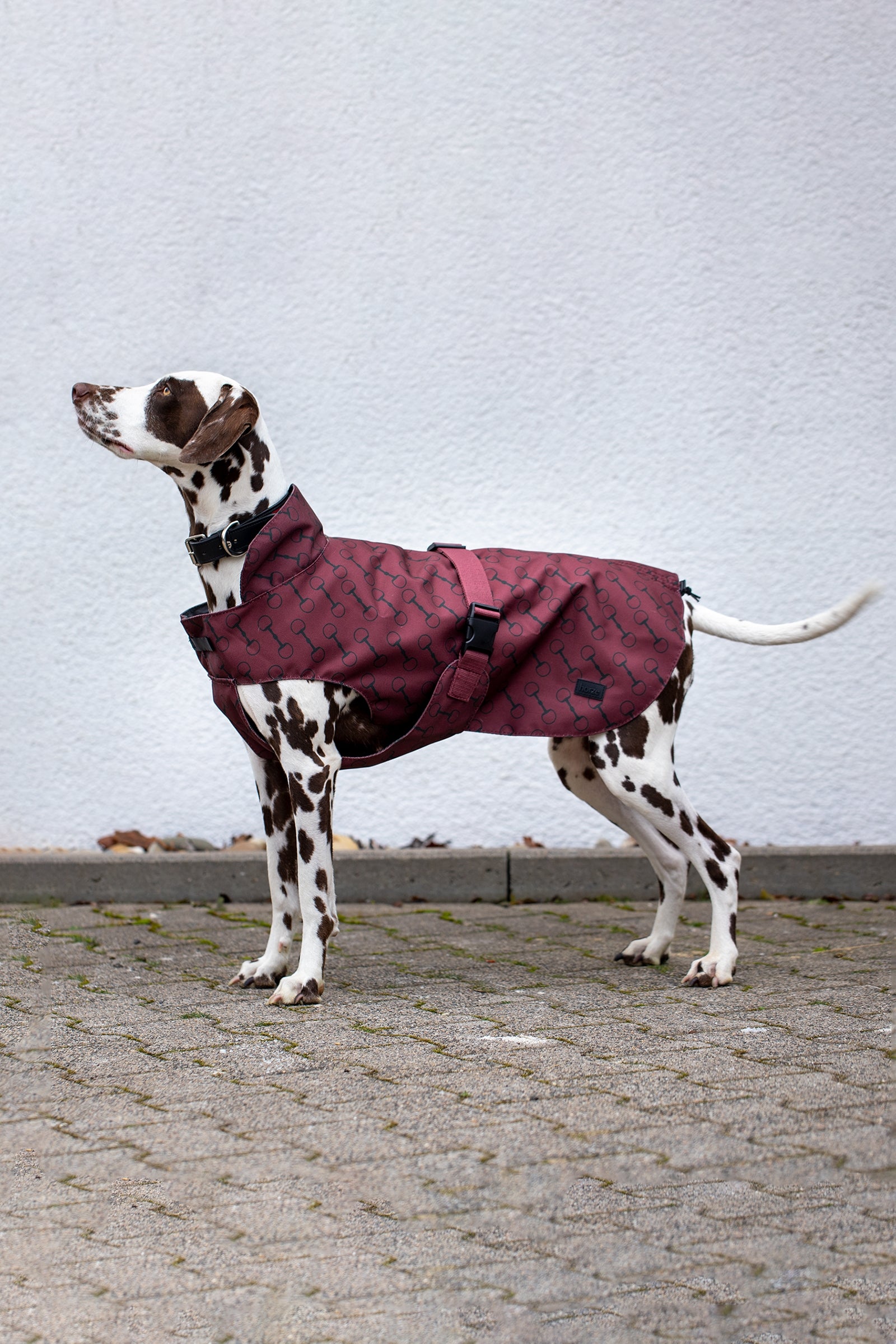Horze Noir Dog Coat with Print Dog Accesories