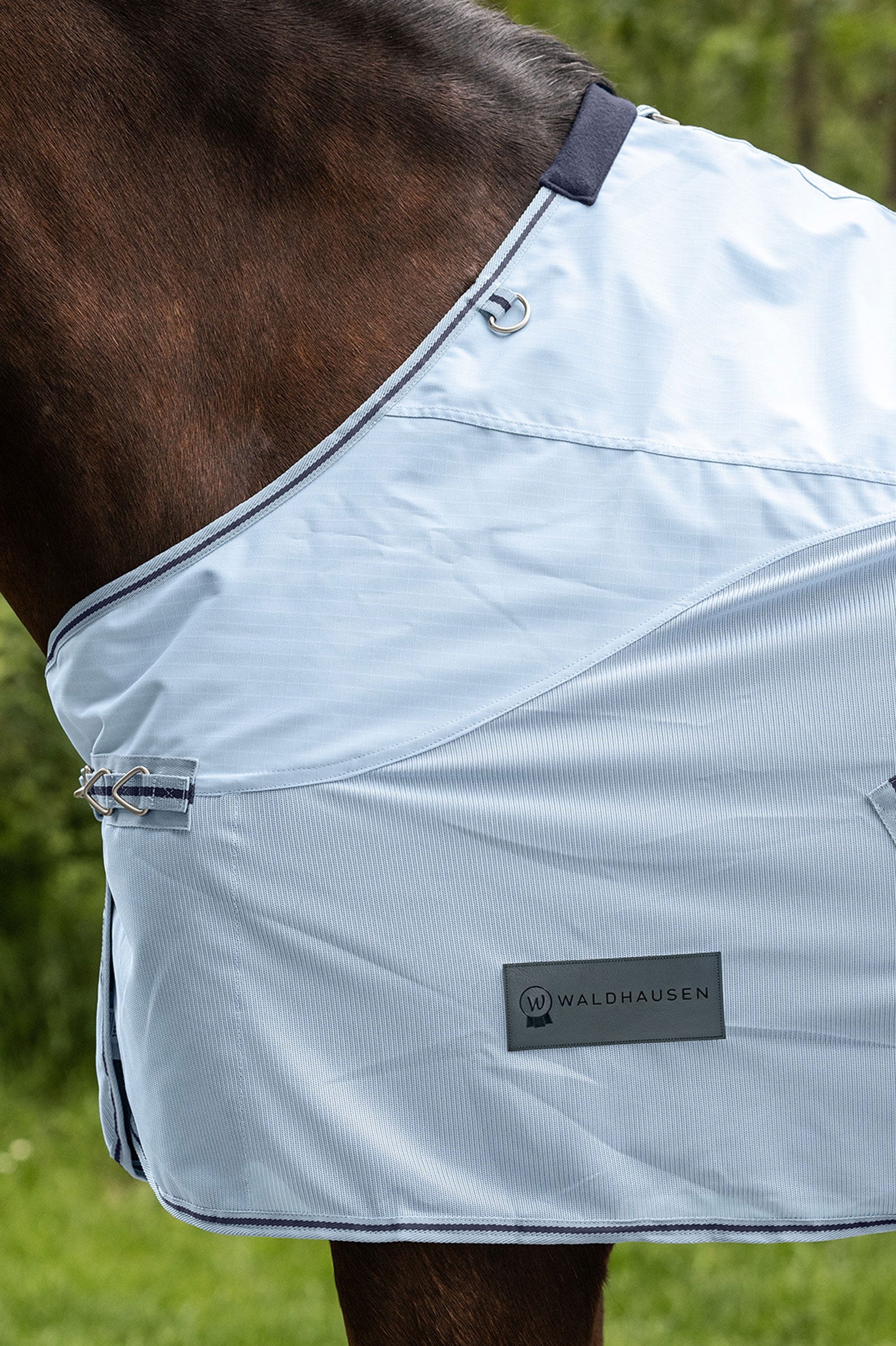 Waldhausen Protect Rain Fly Rug Horse Rugs