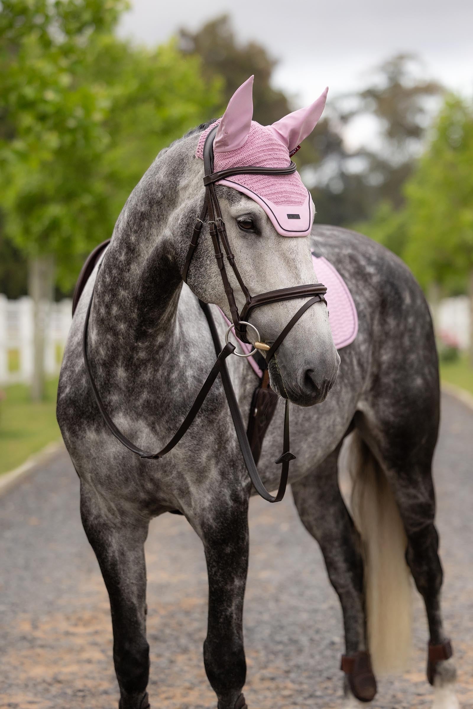 LeMieux Essence Acoustic Fly Hood Saddle Pads