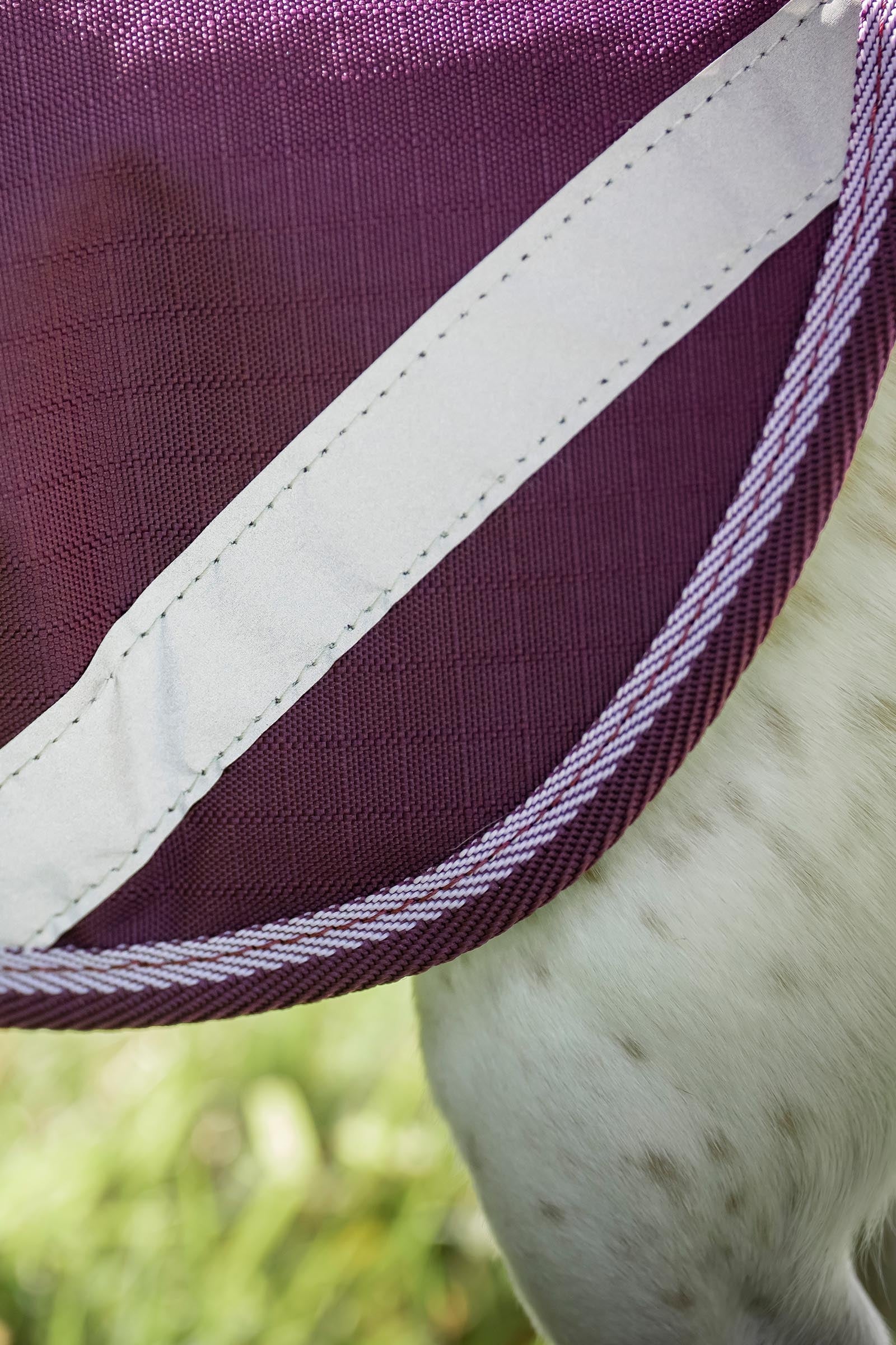Bucas Freedom Dog Rug, 150g (50-85 cm) Dog Accesories