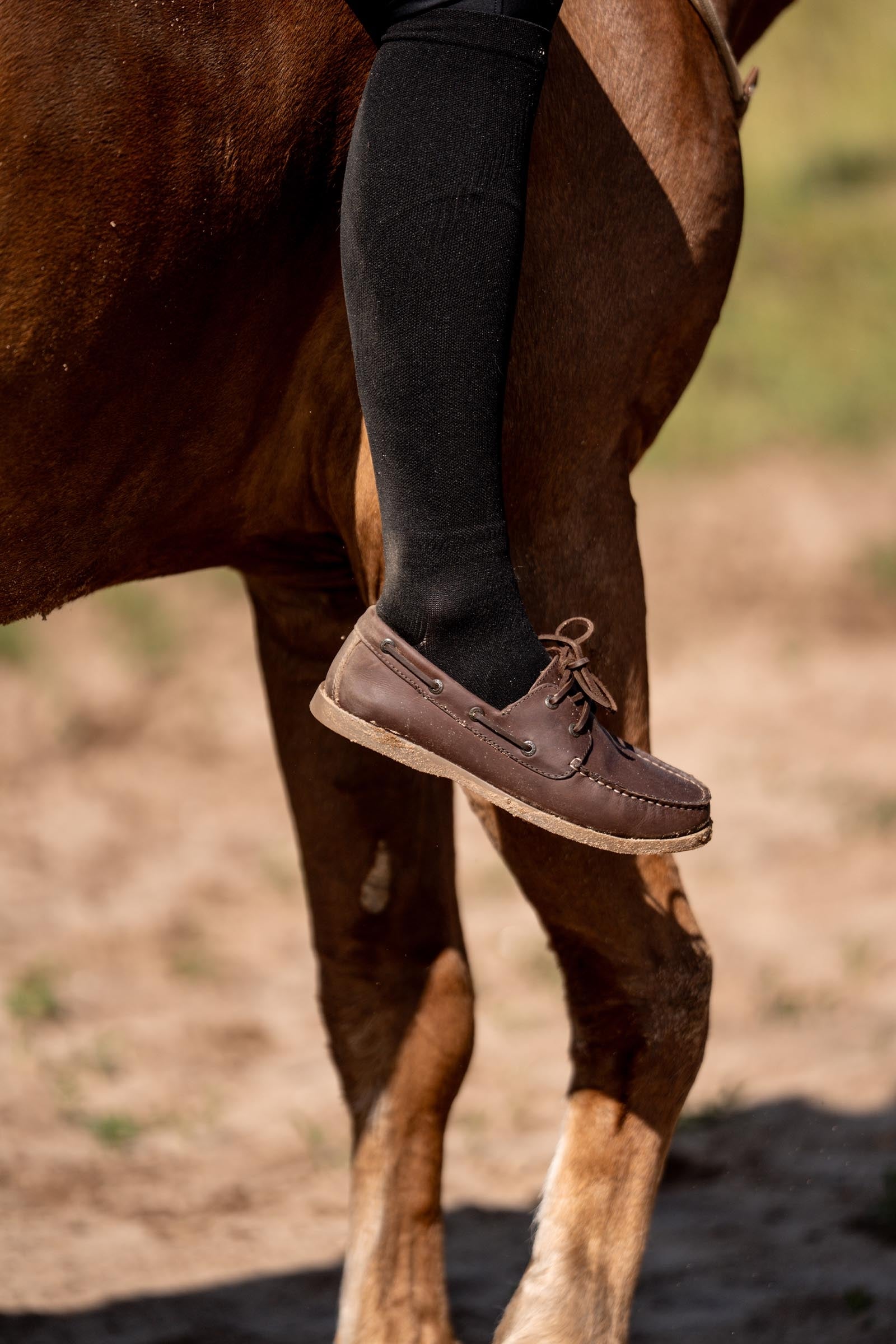 Suedwind Footwear Amalfi Lace Boat Shoe Riding Boots & Riding Shoes