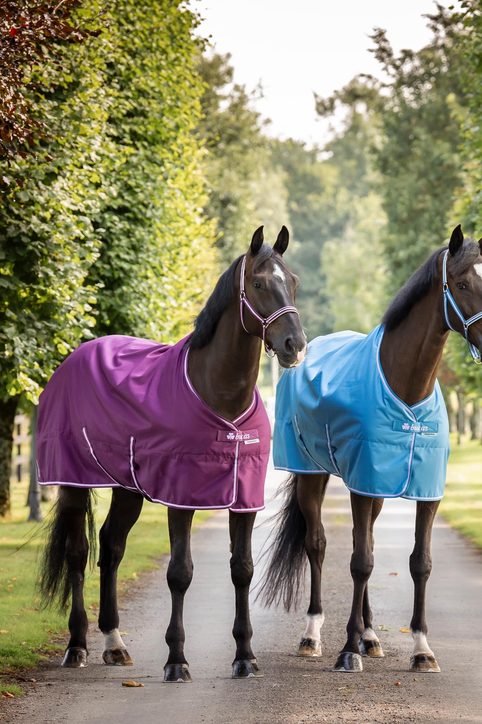 Bucas Freedom Turnout Rug, 300g Horse Rugs
