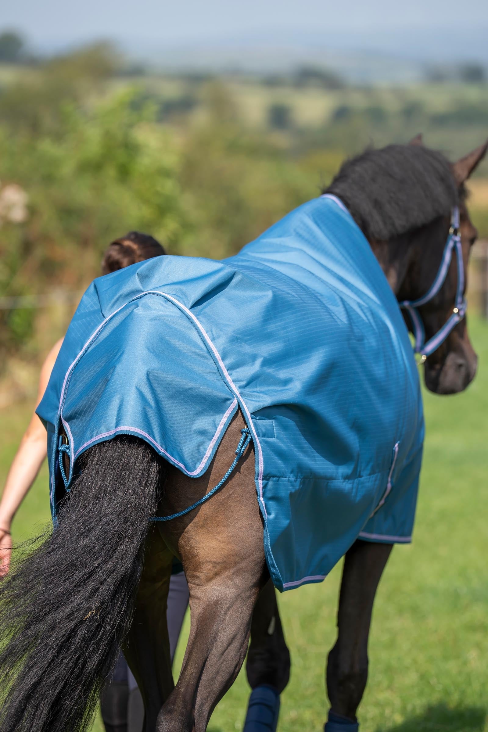 Bucas Freedom Turnout Rug, 300g Horse Rugs