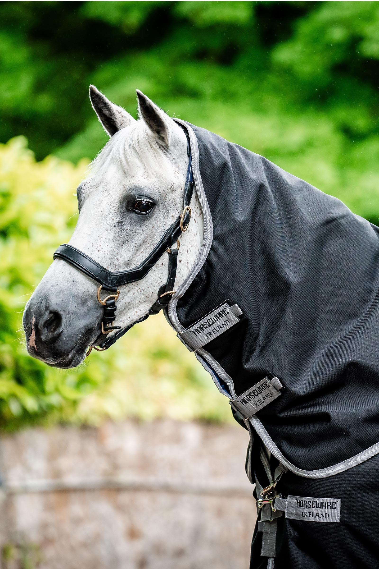 Horseware Amigo Bravo 12 Kaulakappale 0g Loimet