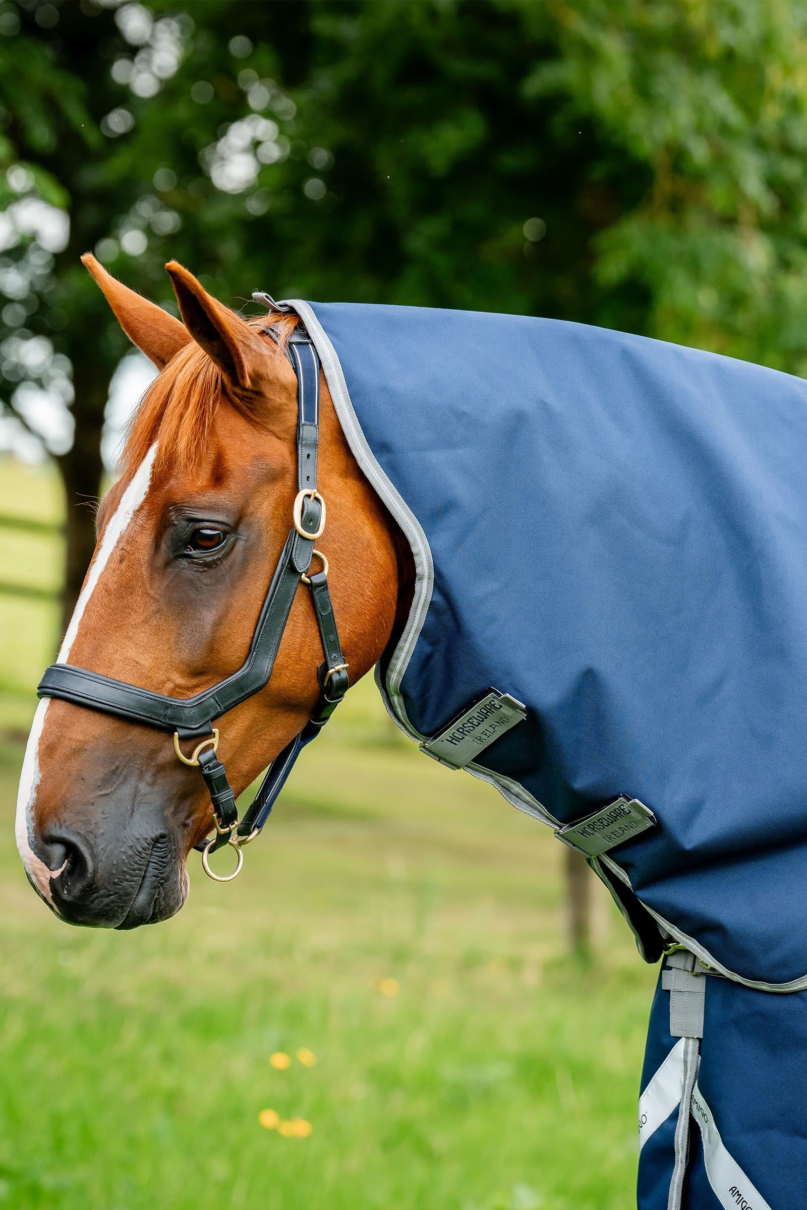 Horseware Amigo Bravo 12 Kaulakappale 0g Loimet