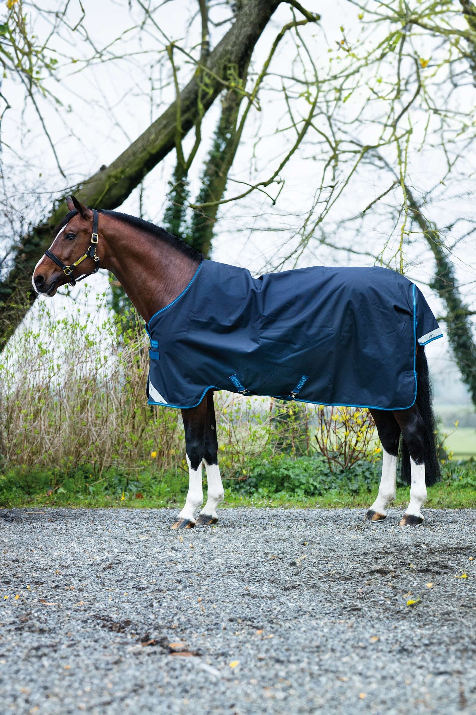 Horseware Amigo Bravo 12 Turnout Rug, 100g Horse Rugs