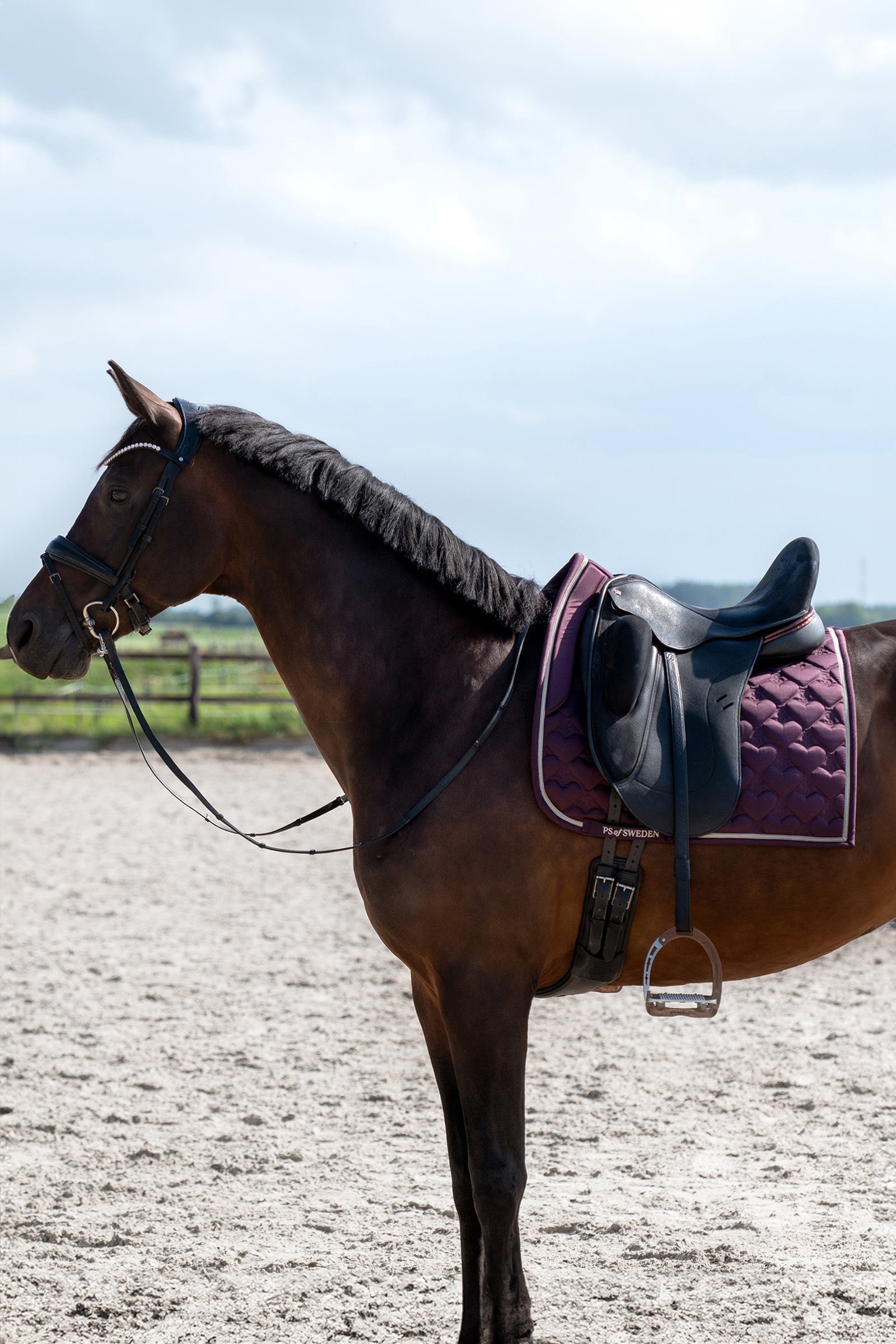 PS of Sweden Heart Dressage Saddle Pad Saddle Pads