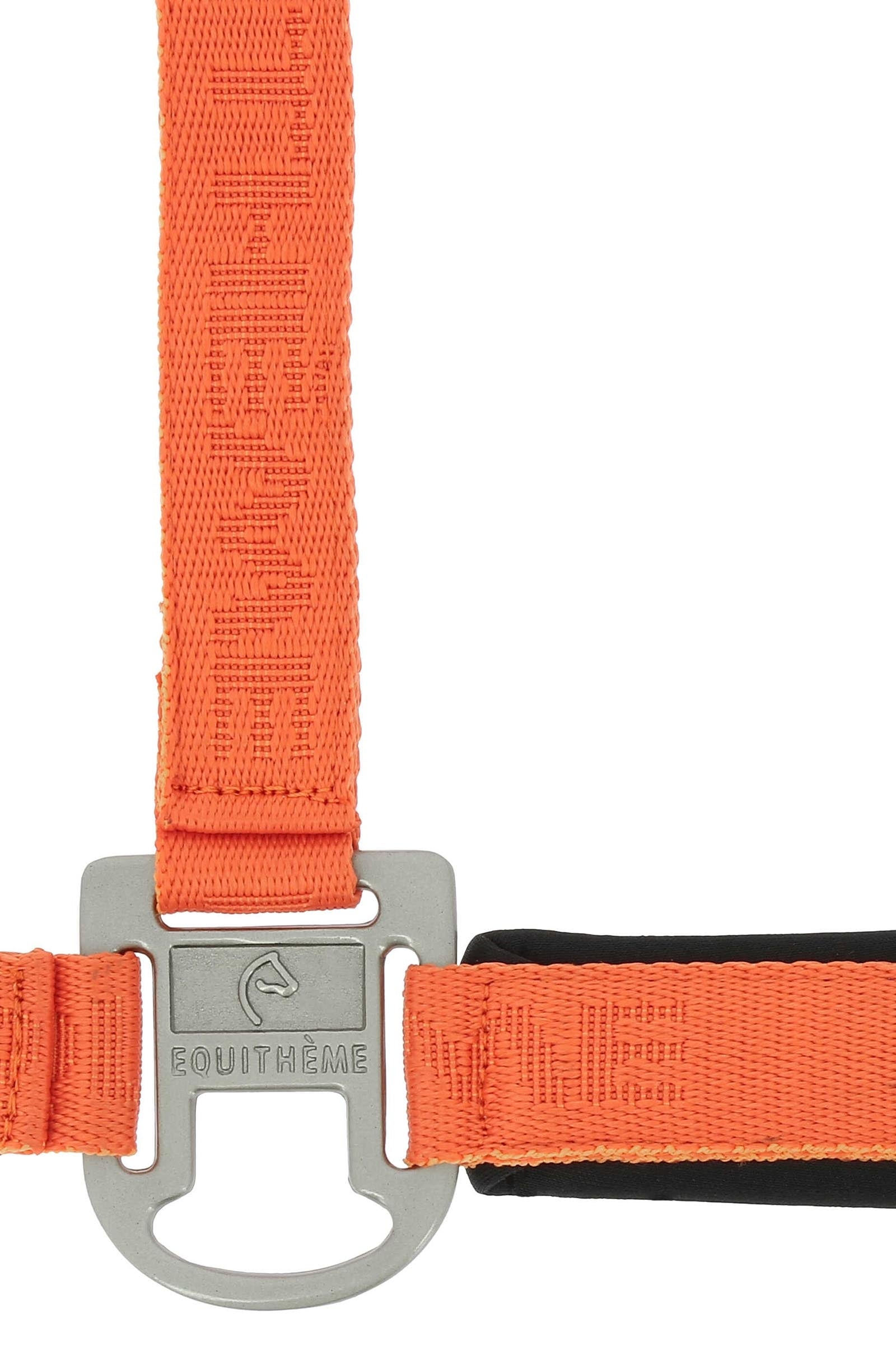 Equi Theme EQUITHÈME Jacquard Nylon Halter Halters & Leads