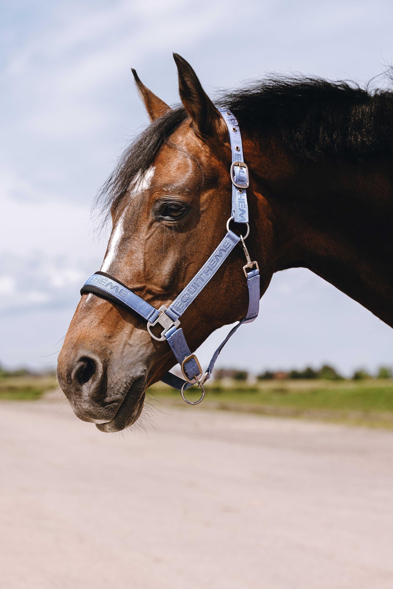 Equi Theme EQUITHÈME Jacquard Nylon Halter Halters & Leads