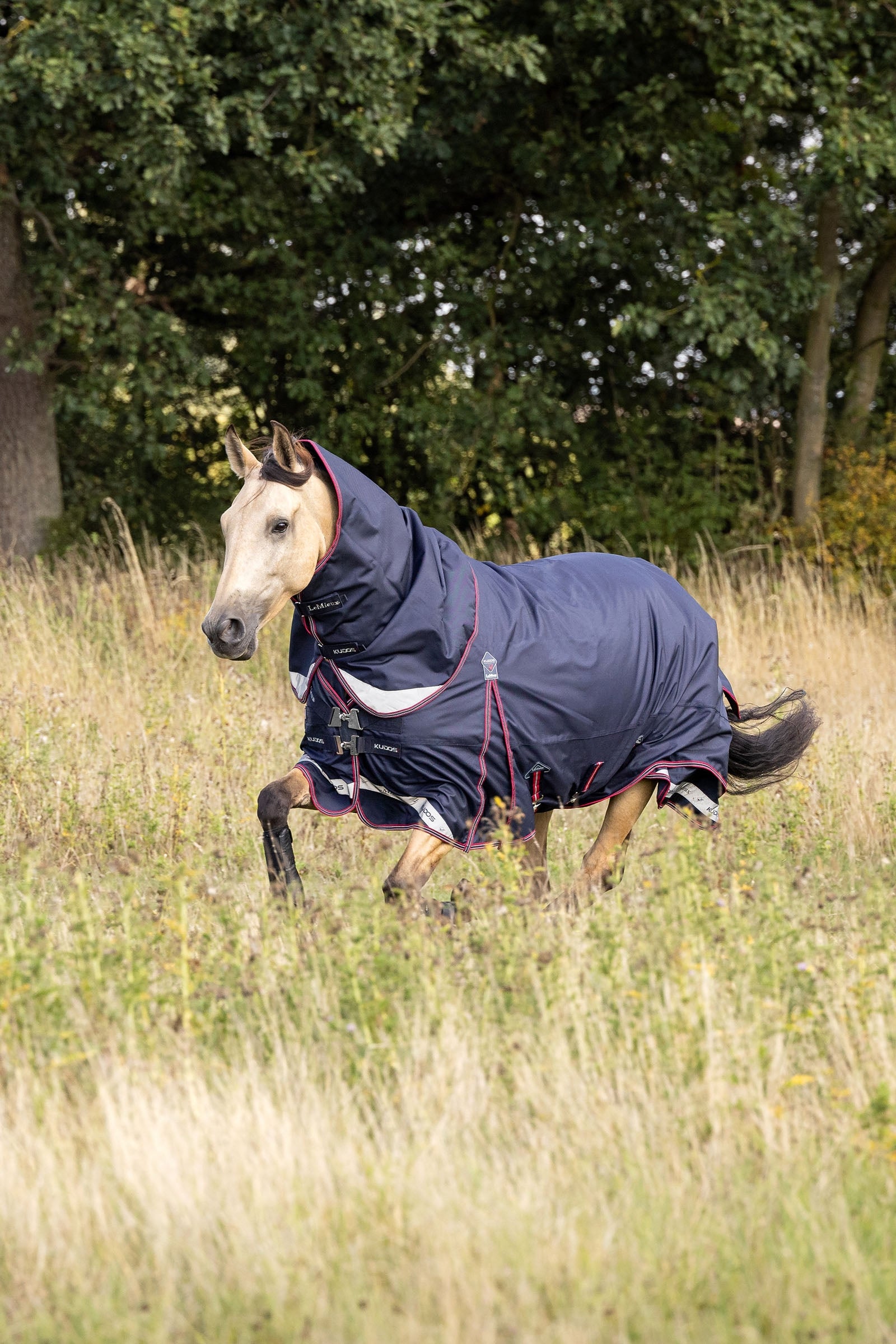 LeMieux Kudos Lightweight Turnout Rug, 100 g Horse Rugs