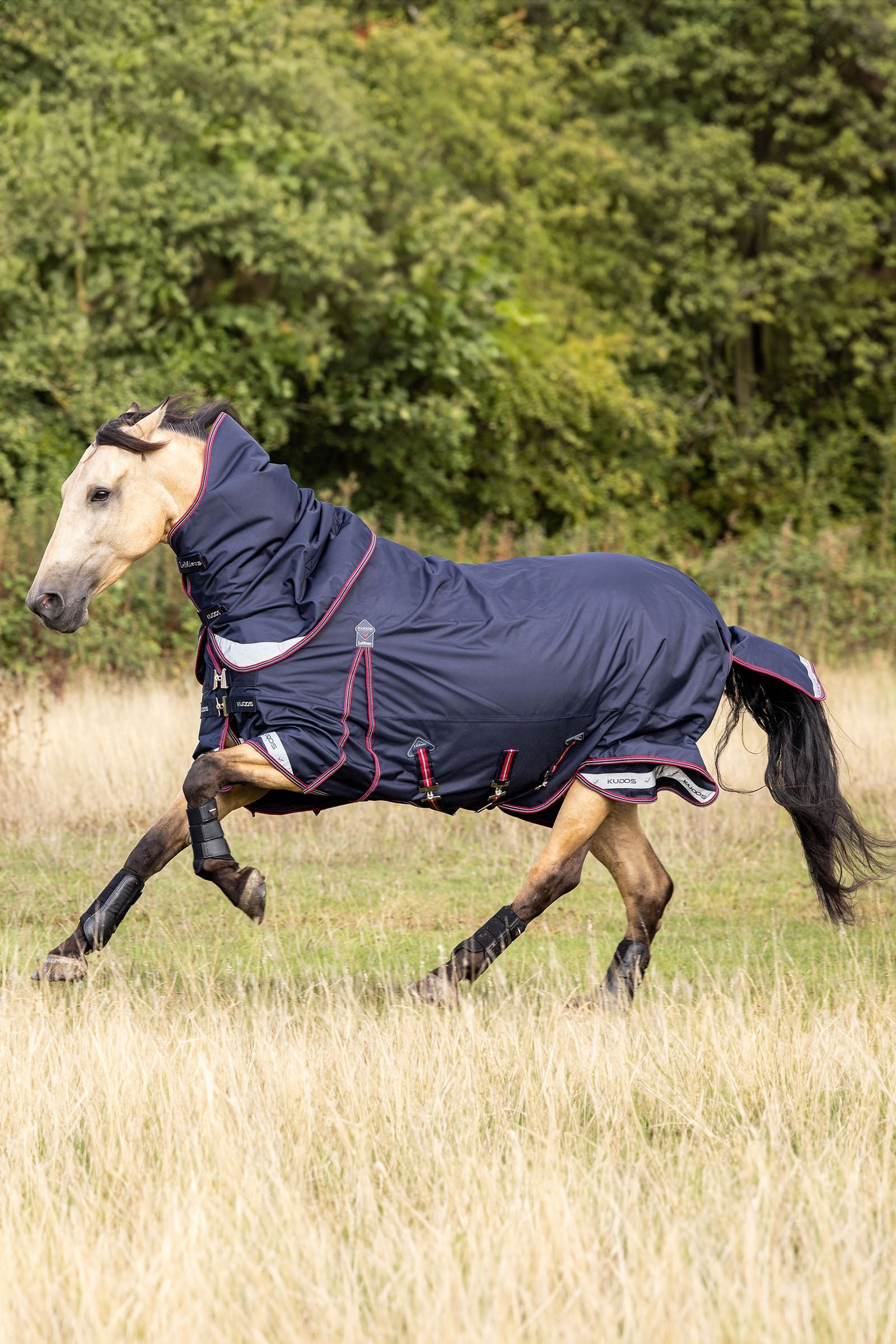 LeMieux Kudos Lightweight Turnout Rug, 100 g Horse Rugs