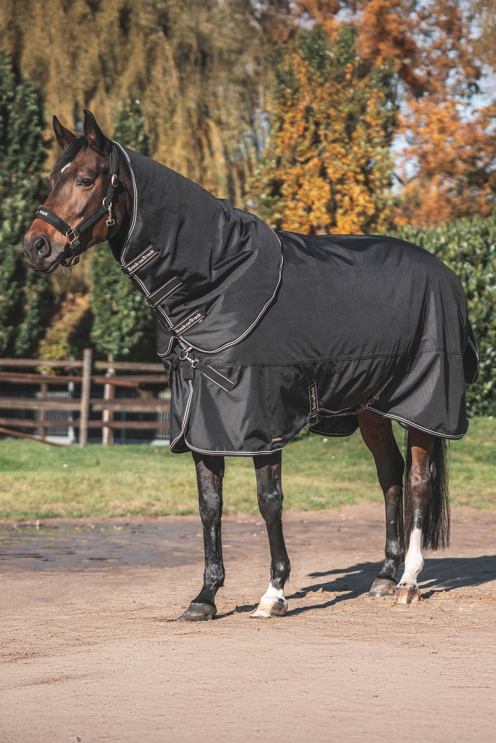 Back on Track Obsidian Turnout Rug With Detachable Neck, 150g Horse Rugs