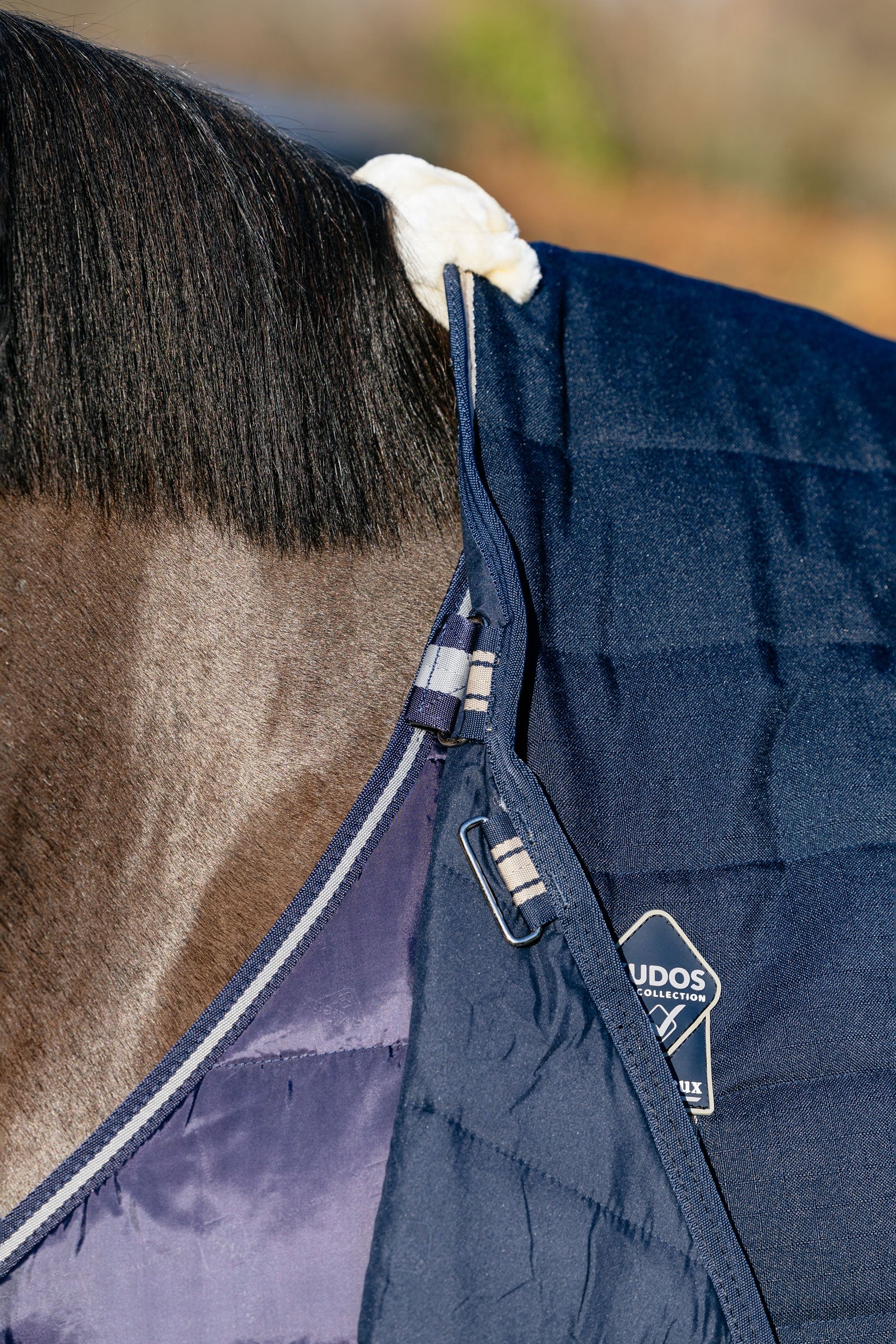 LeMieux Rug Liner, 100g Horse Rugs