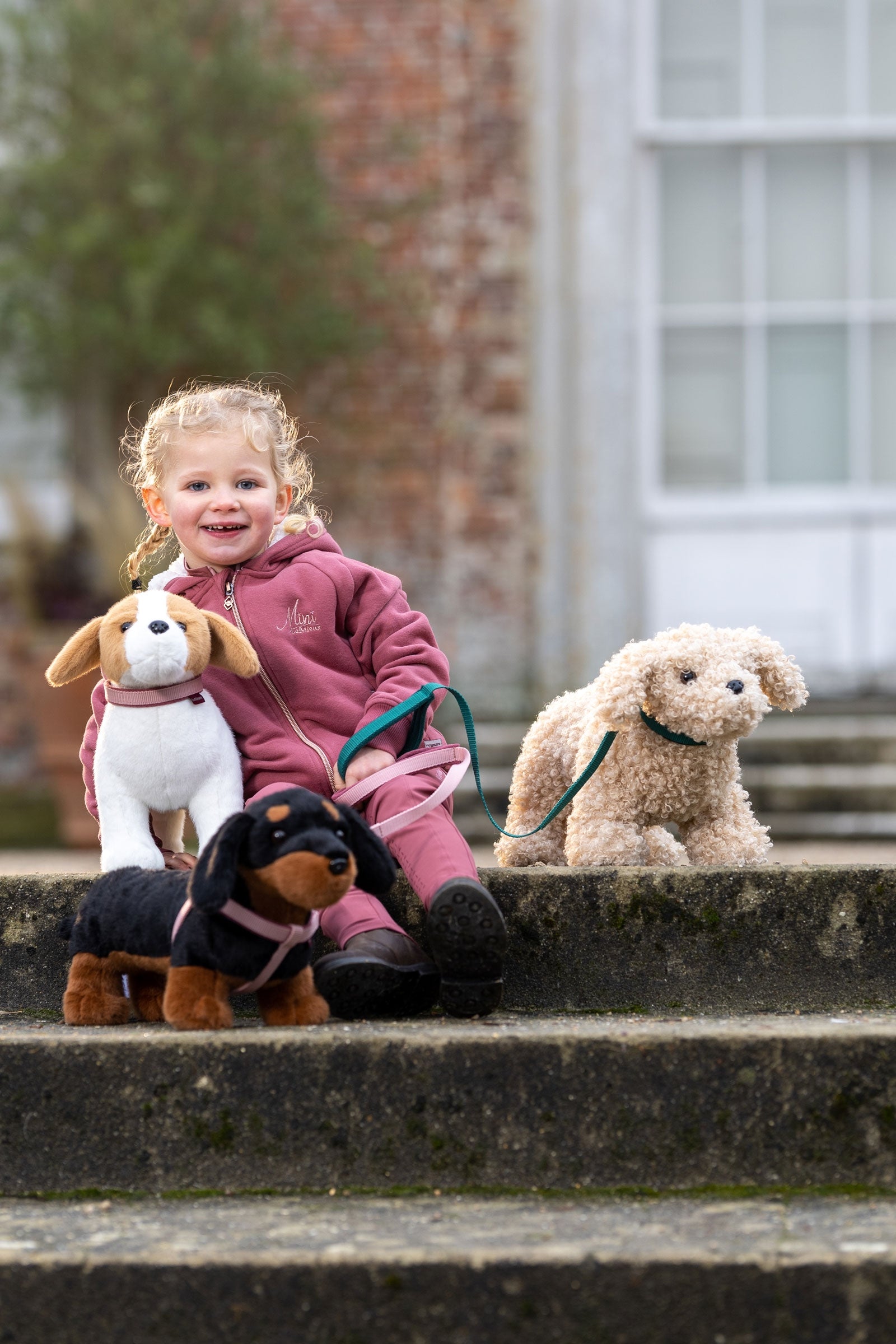 LeMieux Jack Toy Dog Gifts & Toys