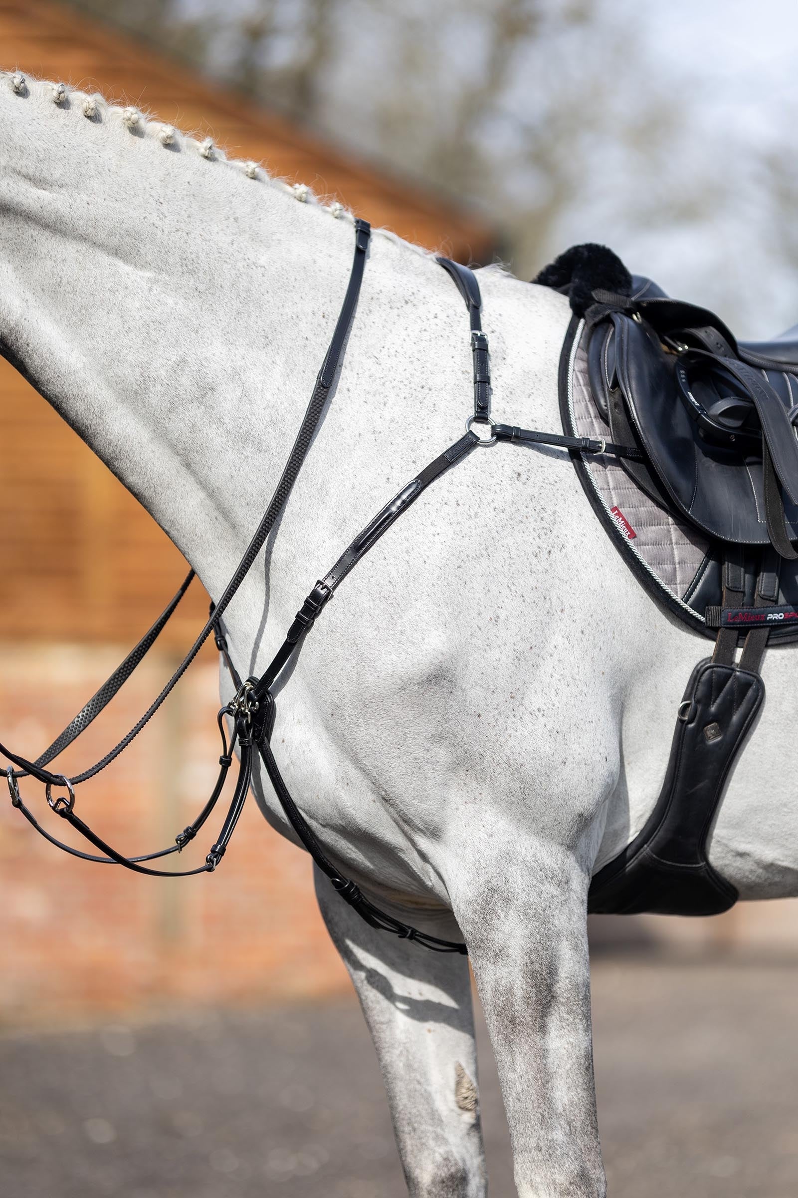 LeMieux Breastplate With Detachable Martingale Bridles & Reins