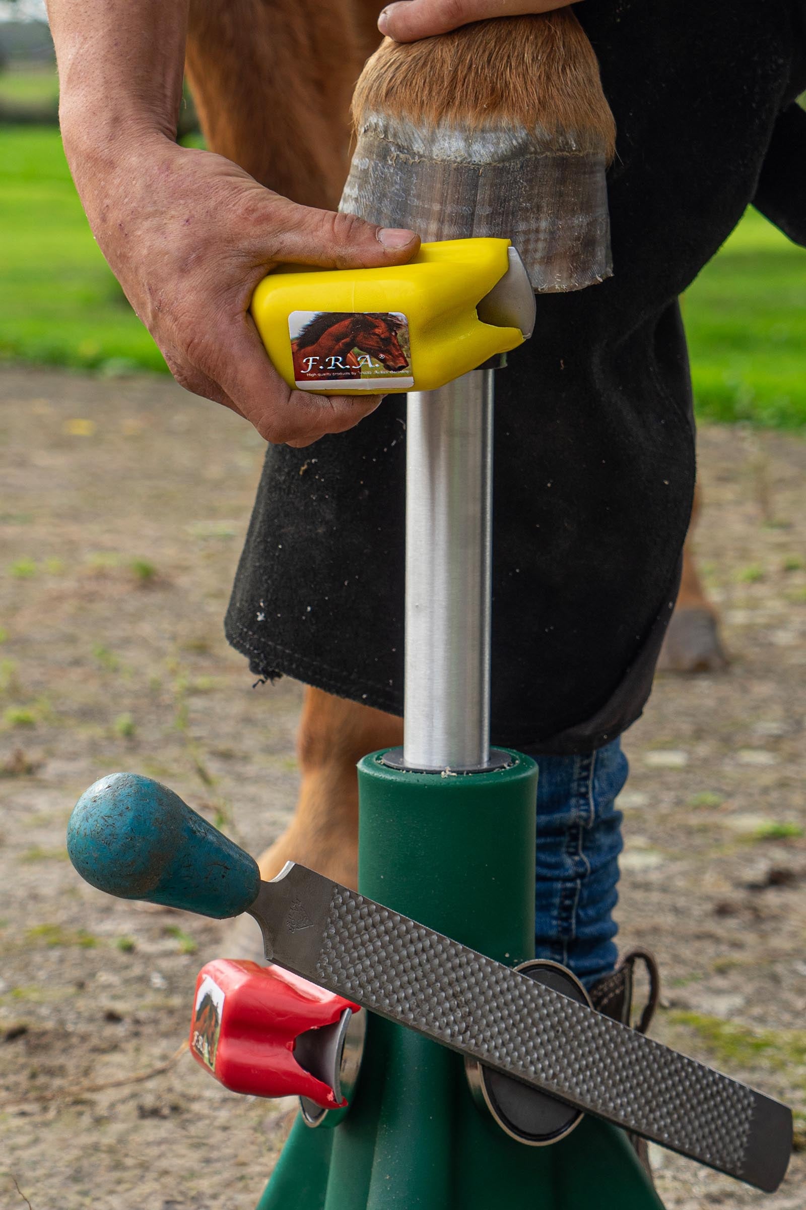 F.R.A. Freedom Riding Articles Simple Rasp, Replacaeble Wrought Iron Blade, Fine Finish Farrier Tools