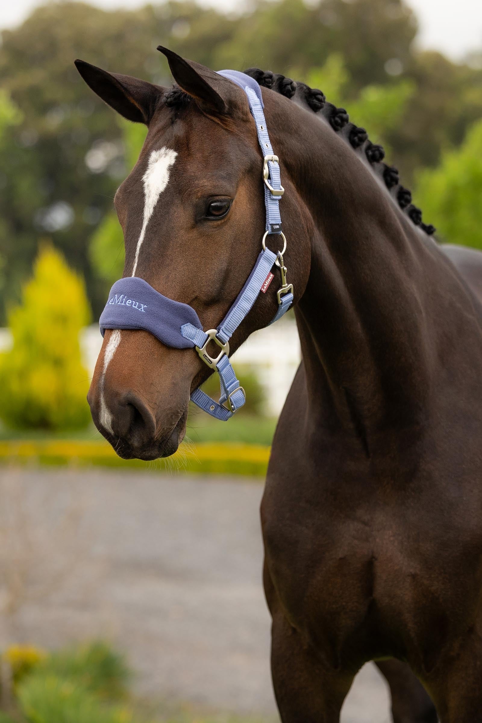 LeMieux Vogue Headcollar & Lead Rope Set Halters & Leads