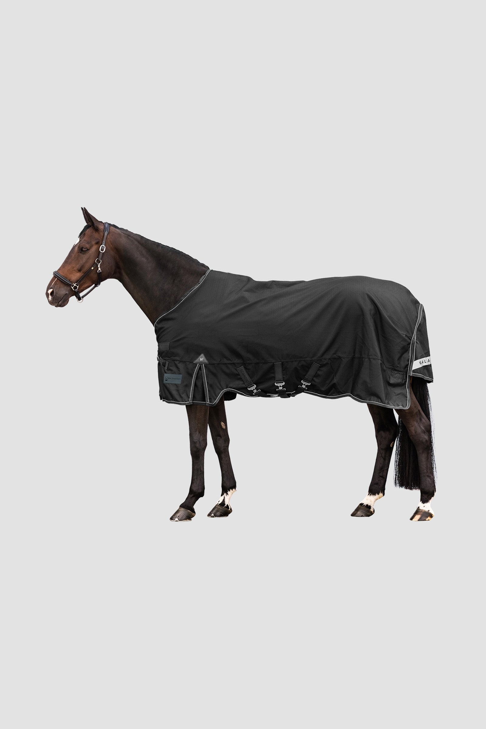 Waldhausen Outdoor Rug Scandic 100g Horse Rugs