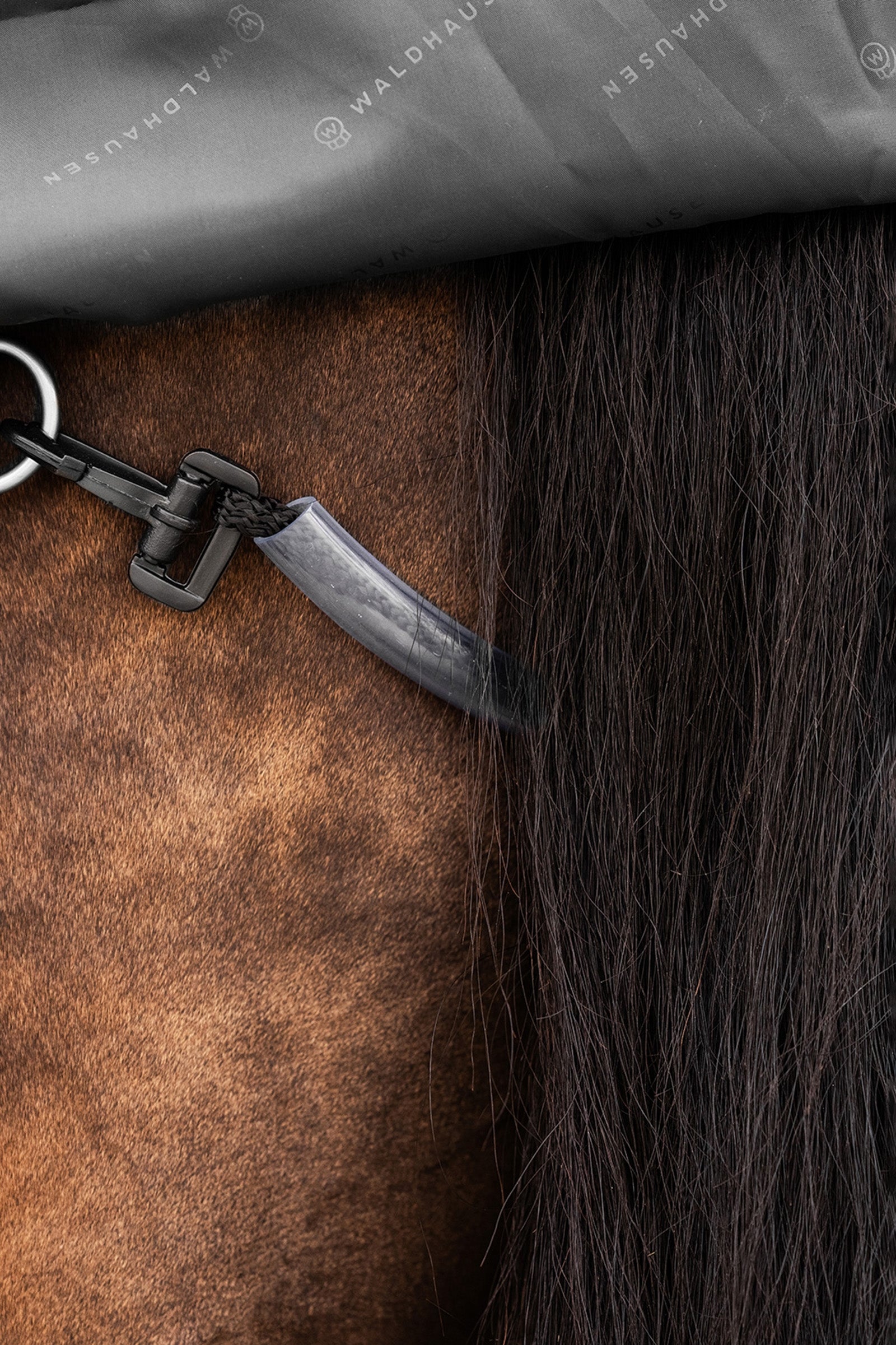 Waldhausen Outdoor Rug Scandic 100g Horse Rugs