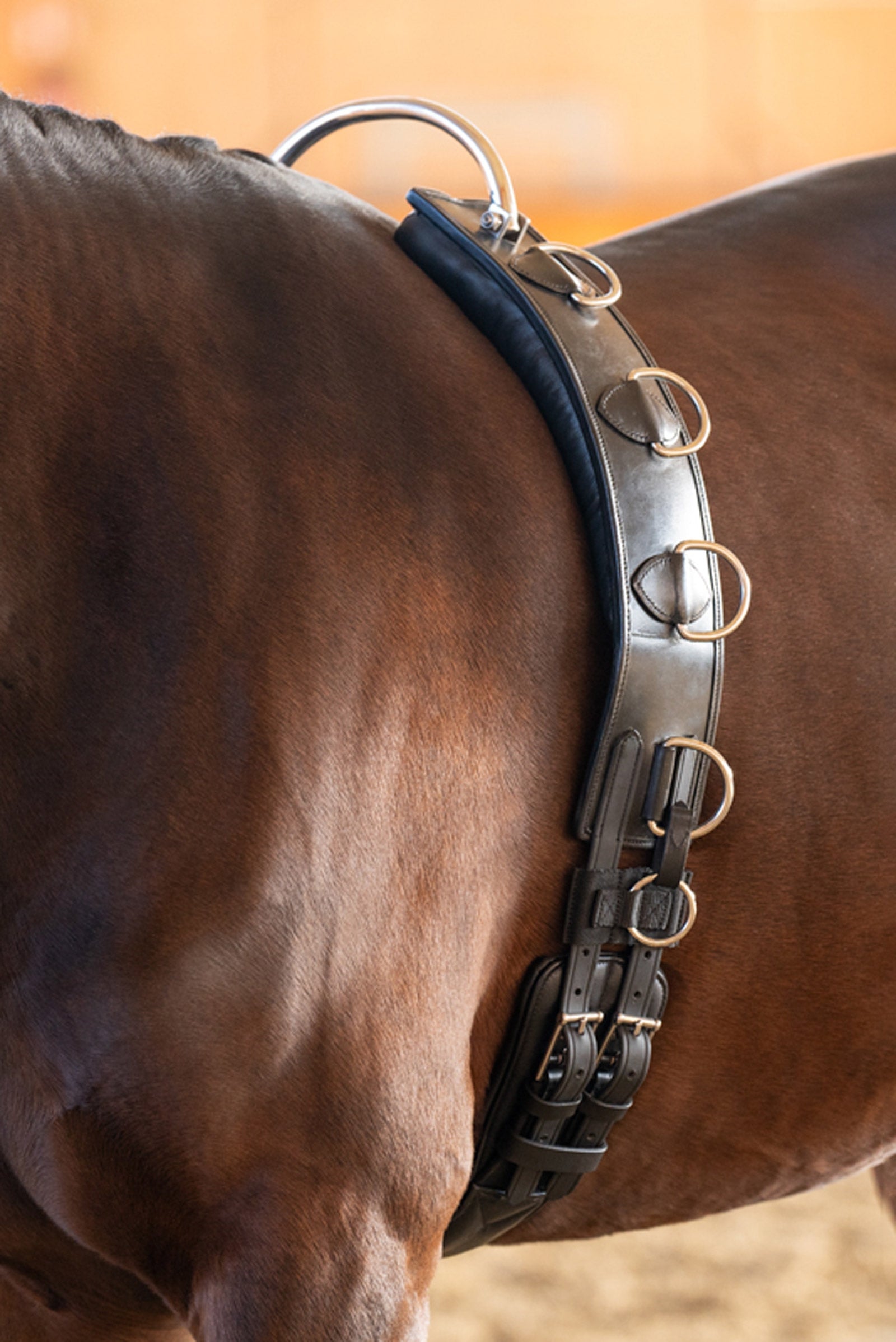 Kavalkade Nahkainen juoksutusvyö kehyksellä Satulat & satulavyöt