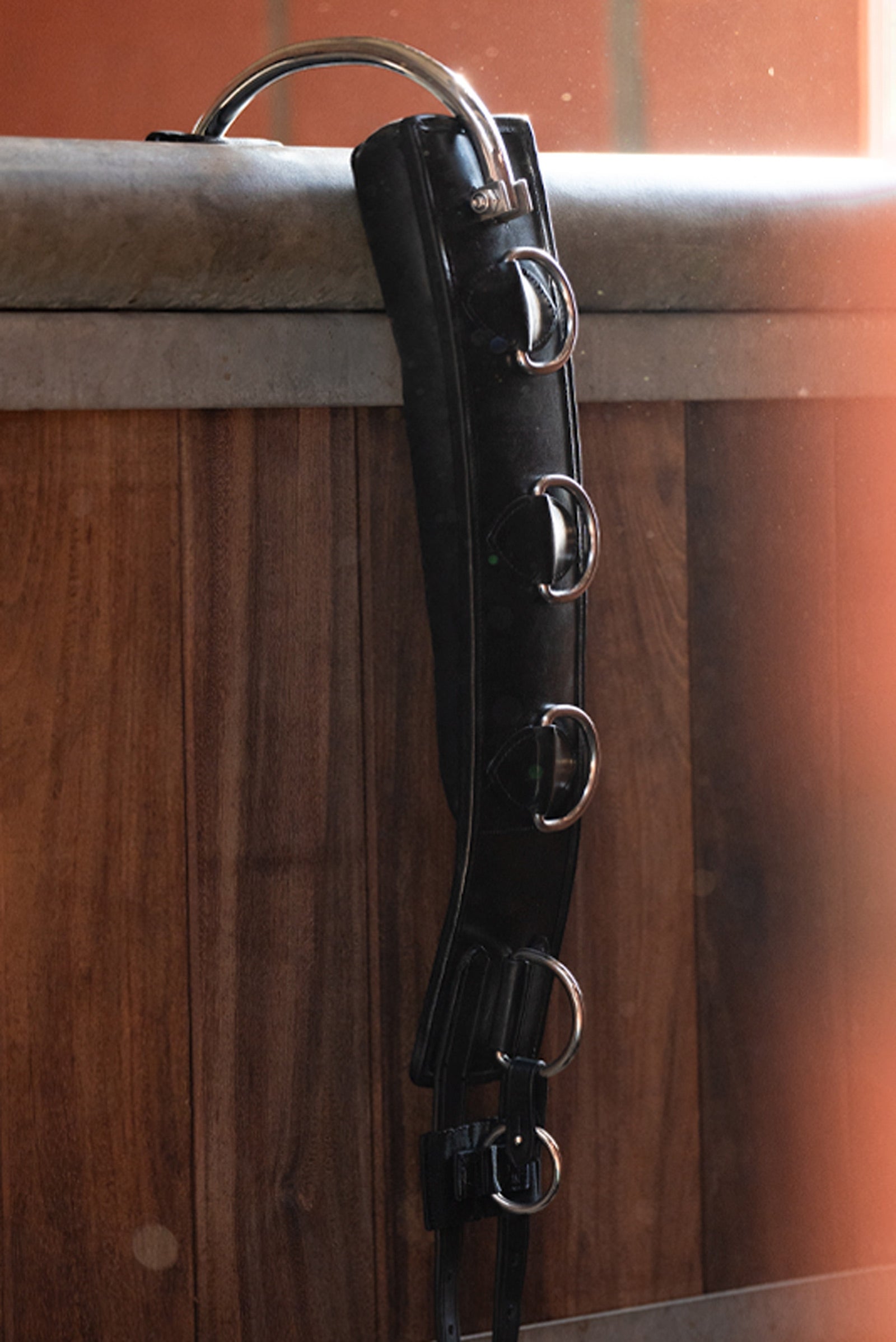 Kavalkade Leather Lungeing Girth With Frame Saddles, Girths & Stirrups