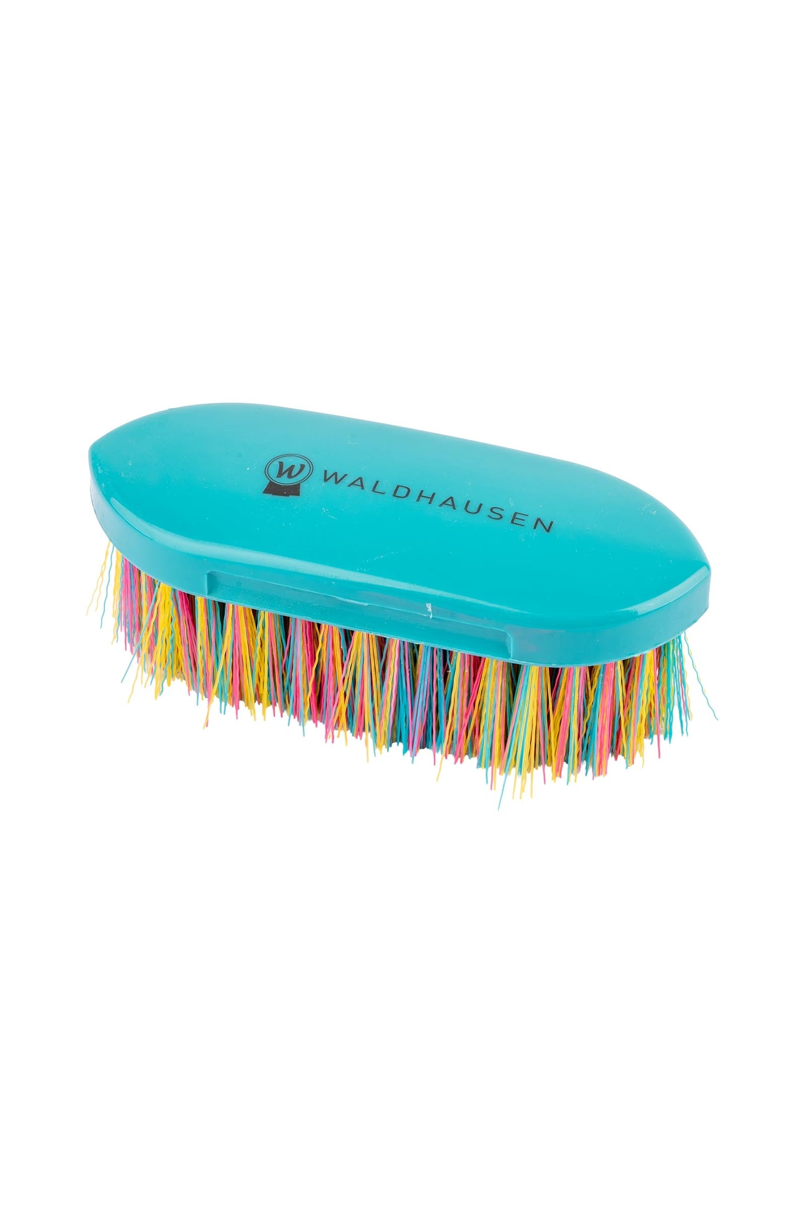 Waldhausen Rainbow Stiff Brush Horse Grooming Tools