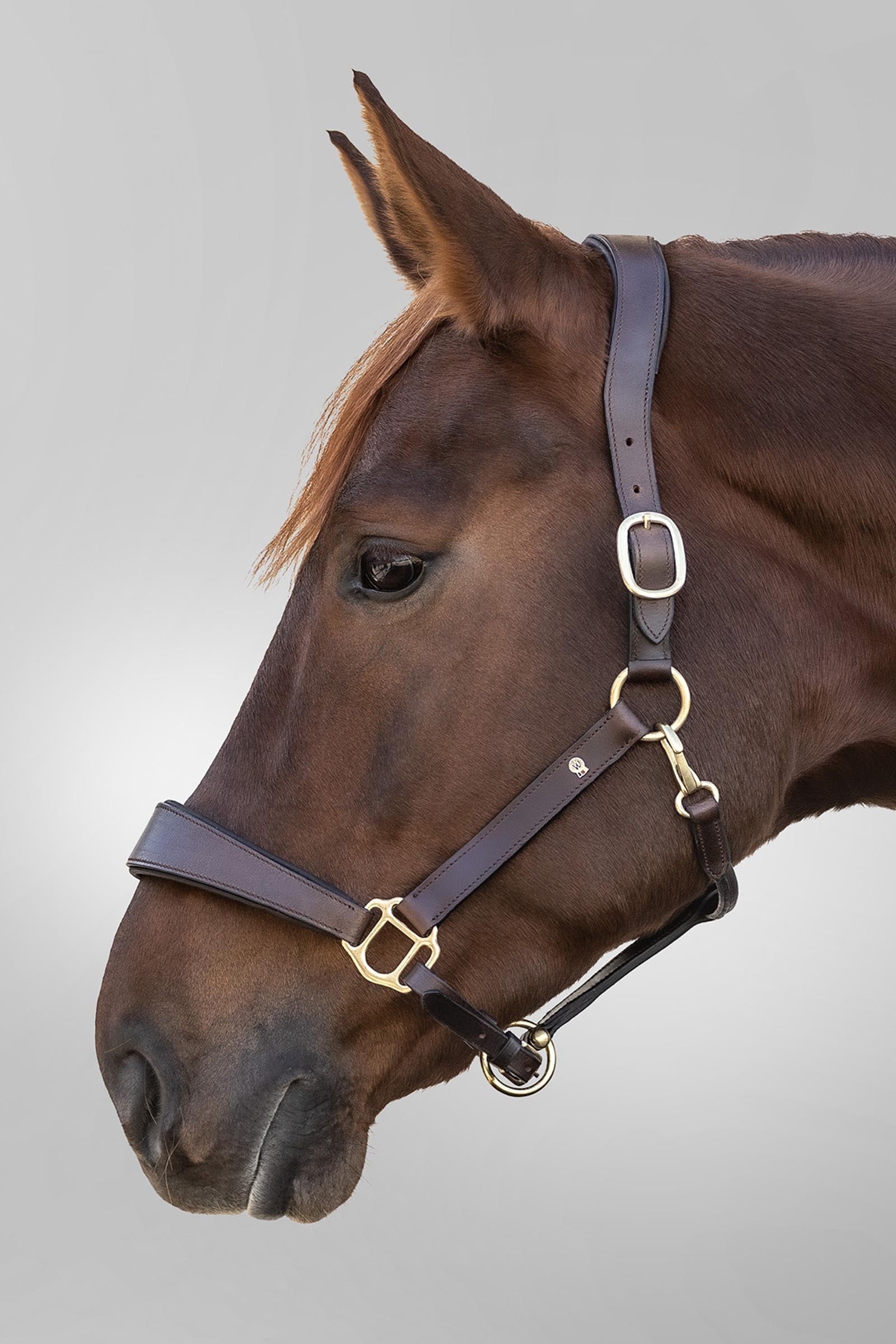 Waldhausen S-line Anatomic Leather Halter Halters & Leads