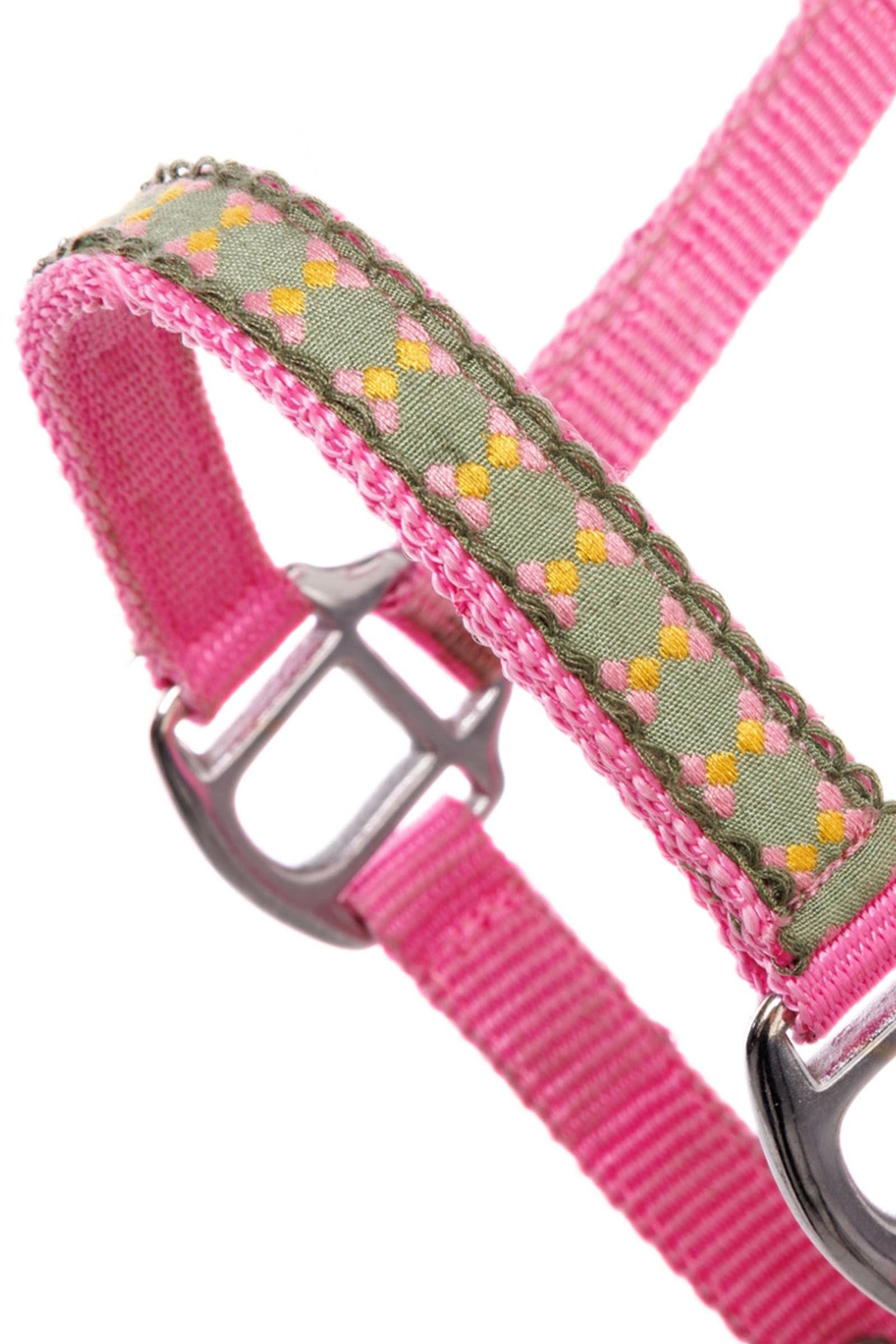 Kavalkade Dottsi Halter Halters & Leads
