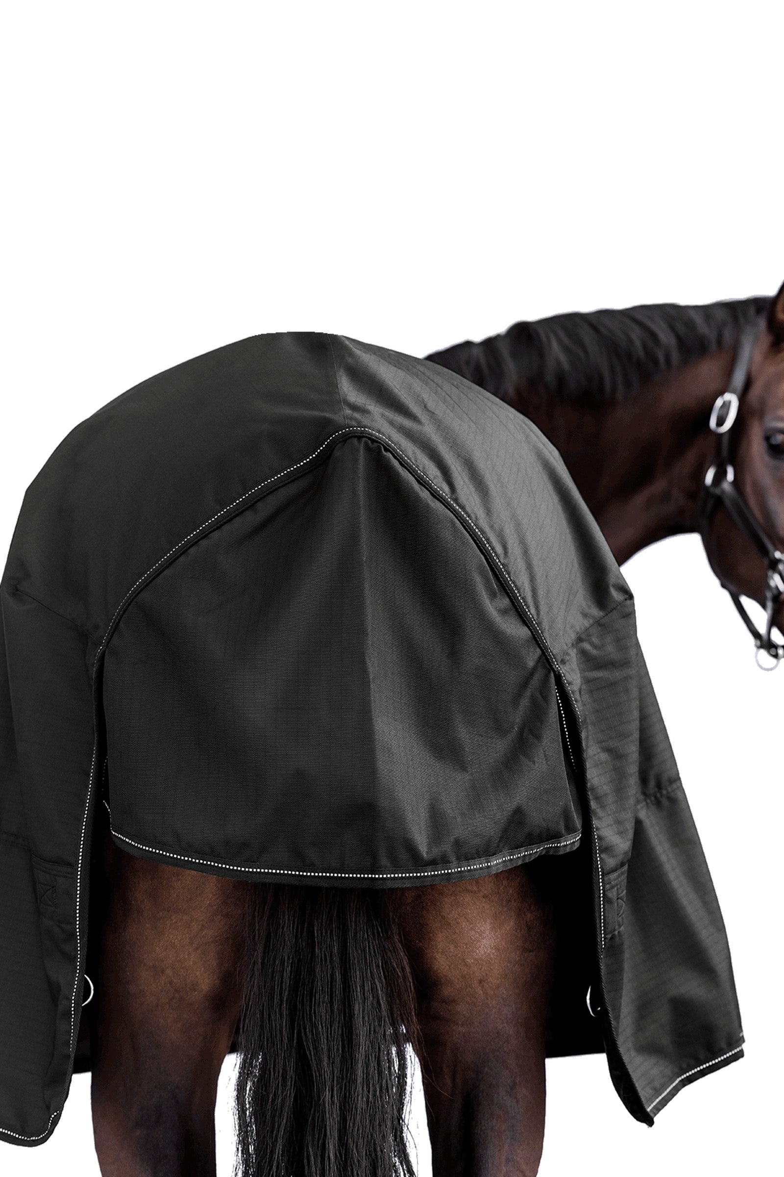 Waldhausen NORDIC 600D Outdoor Rug, 50 g Horse Rugs