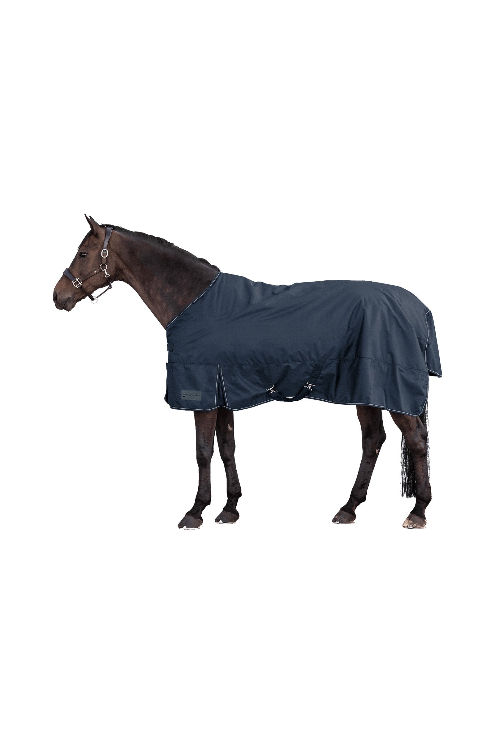 Waldhausen NORDIC 600D Outdoor Rug, 50 g Horse Rugs