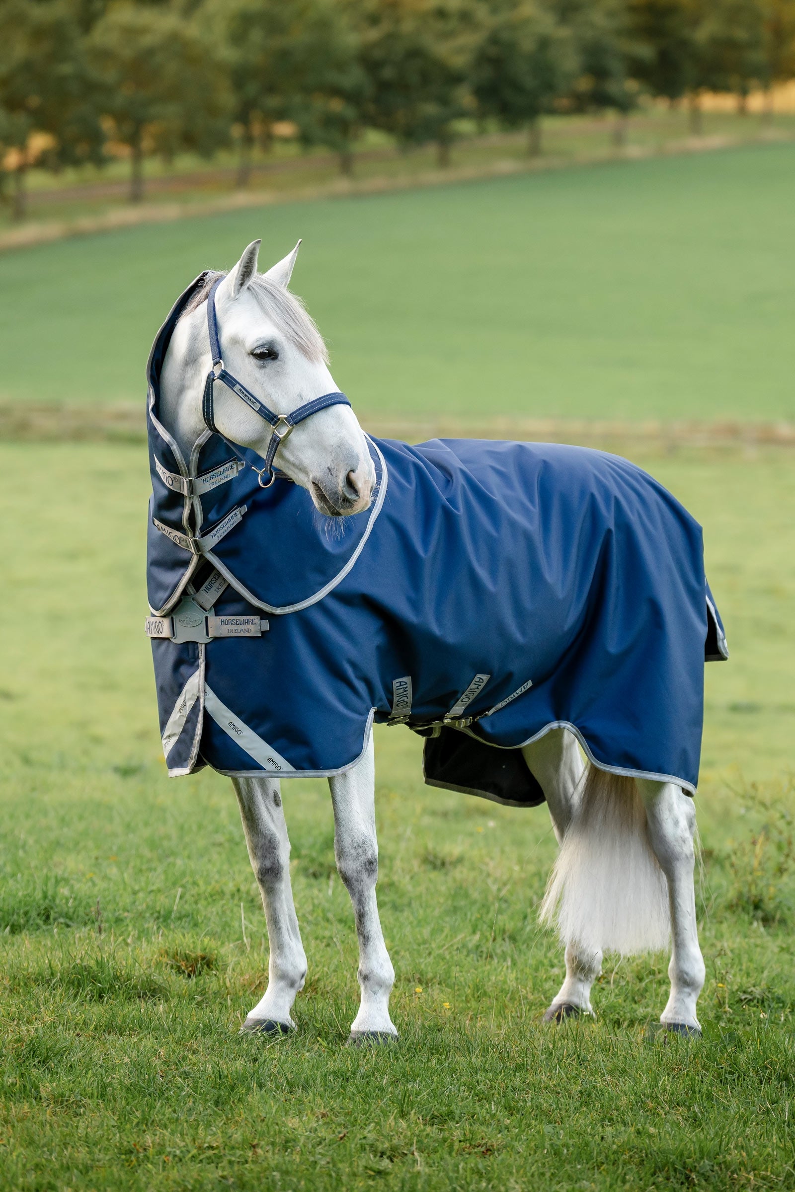 Horseware Amigo 1200D FieldSafe Plus Turnout Rug, 250 g Loimet